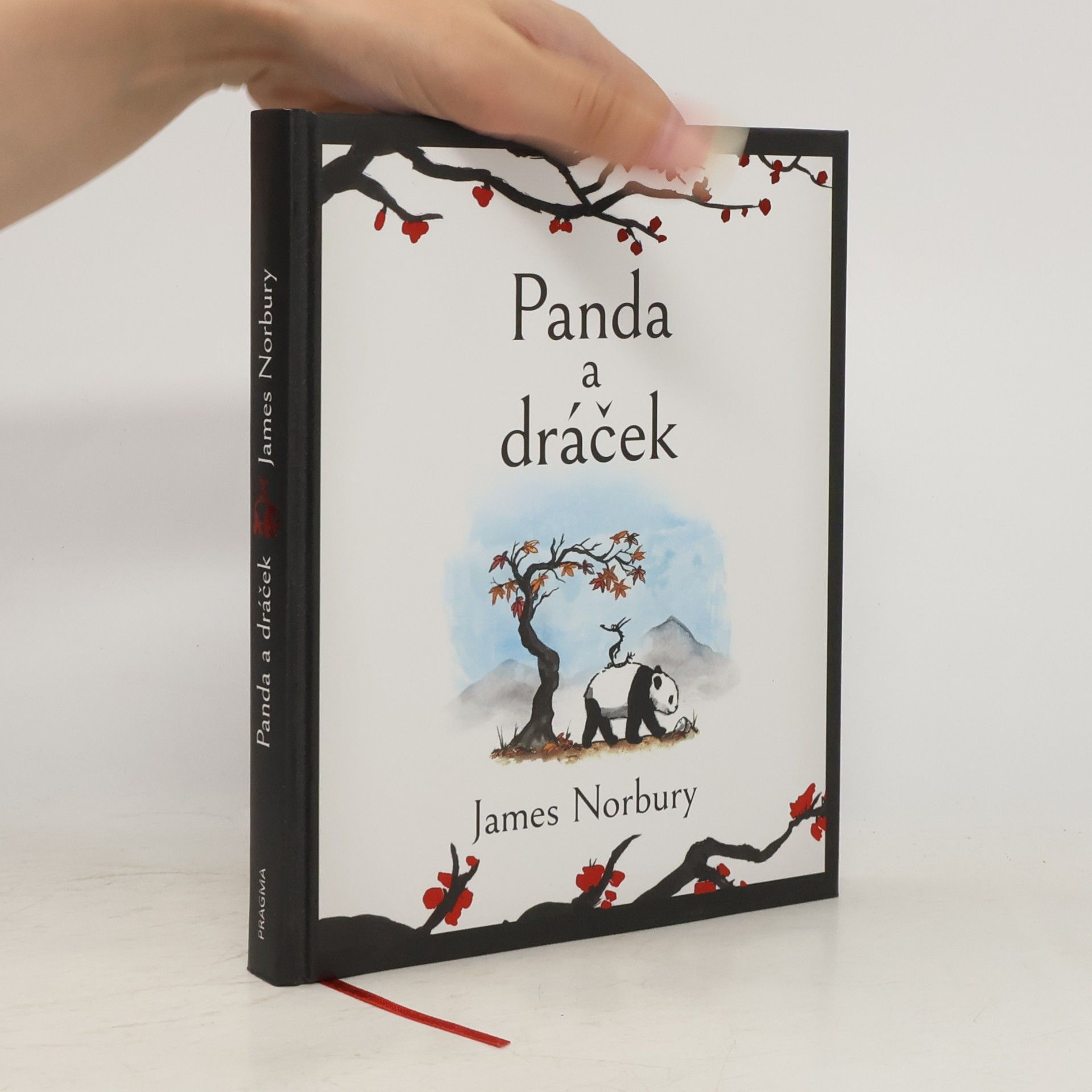 James Norbury Panda a dráček