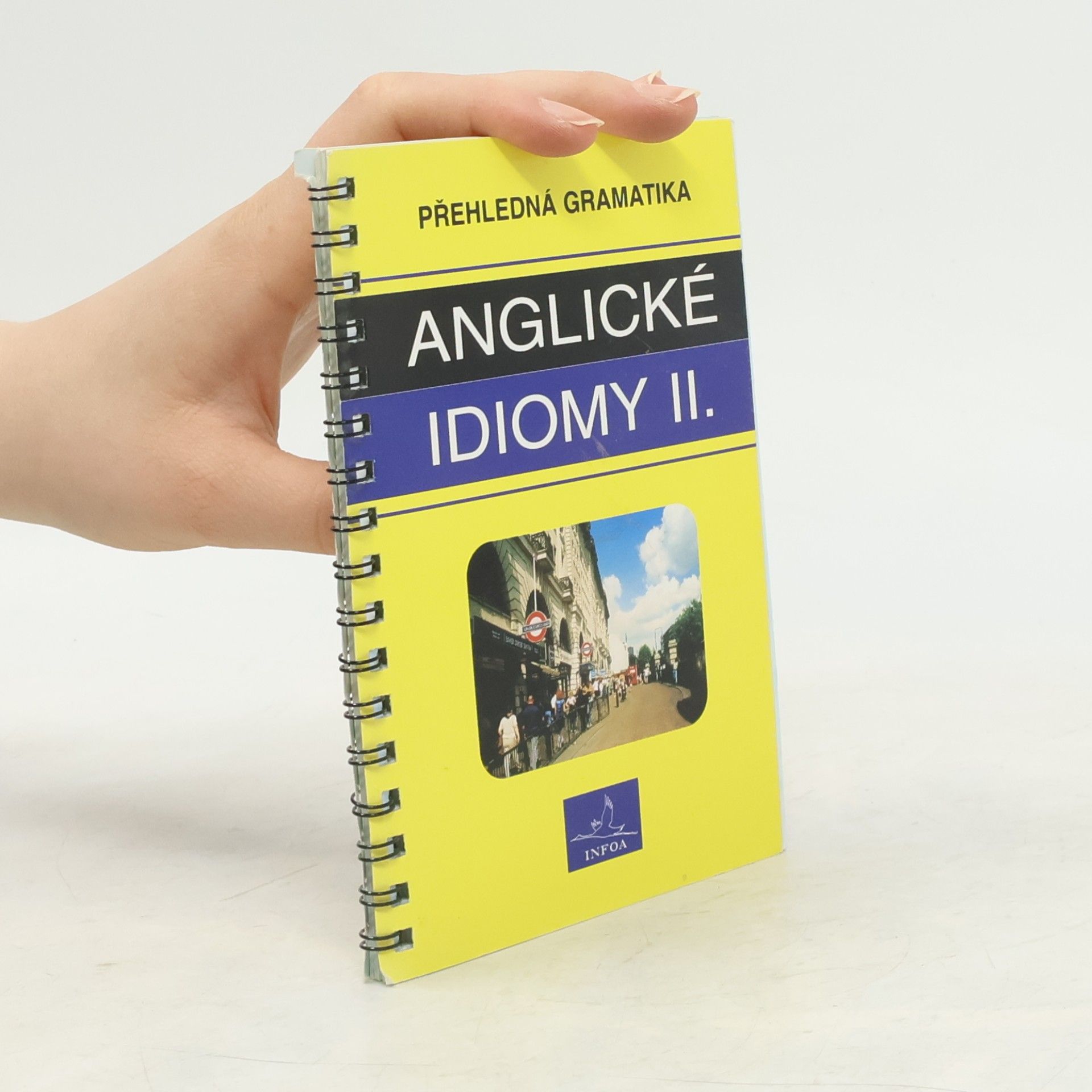 Autorenkollektiv Přehledná gramatika. Anglické idiomy II.