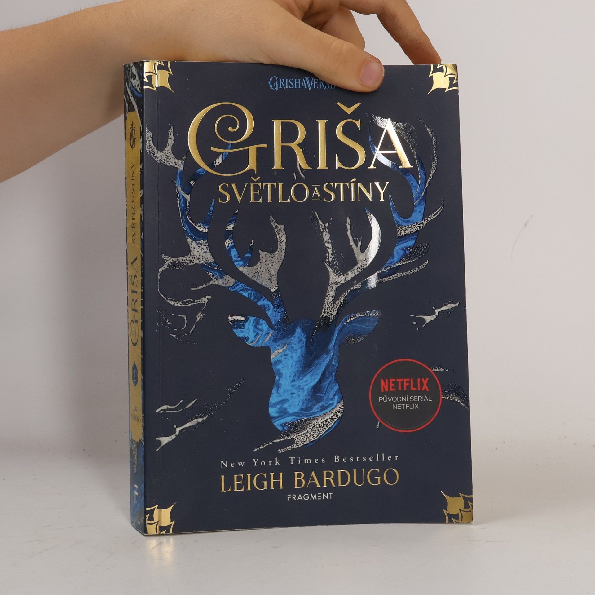 Leigh Bardugo Světlo a stíny