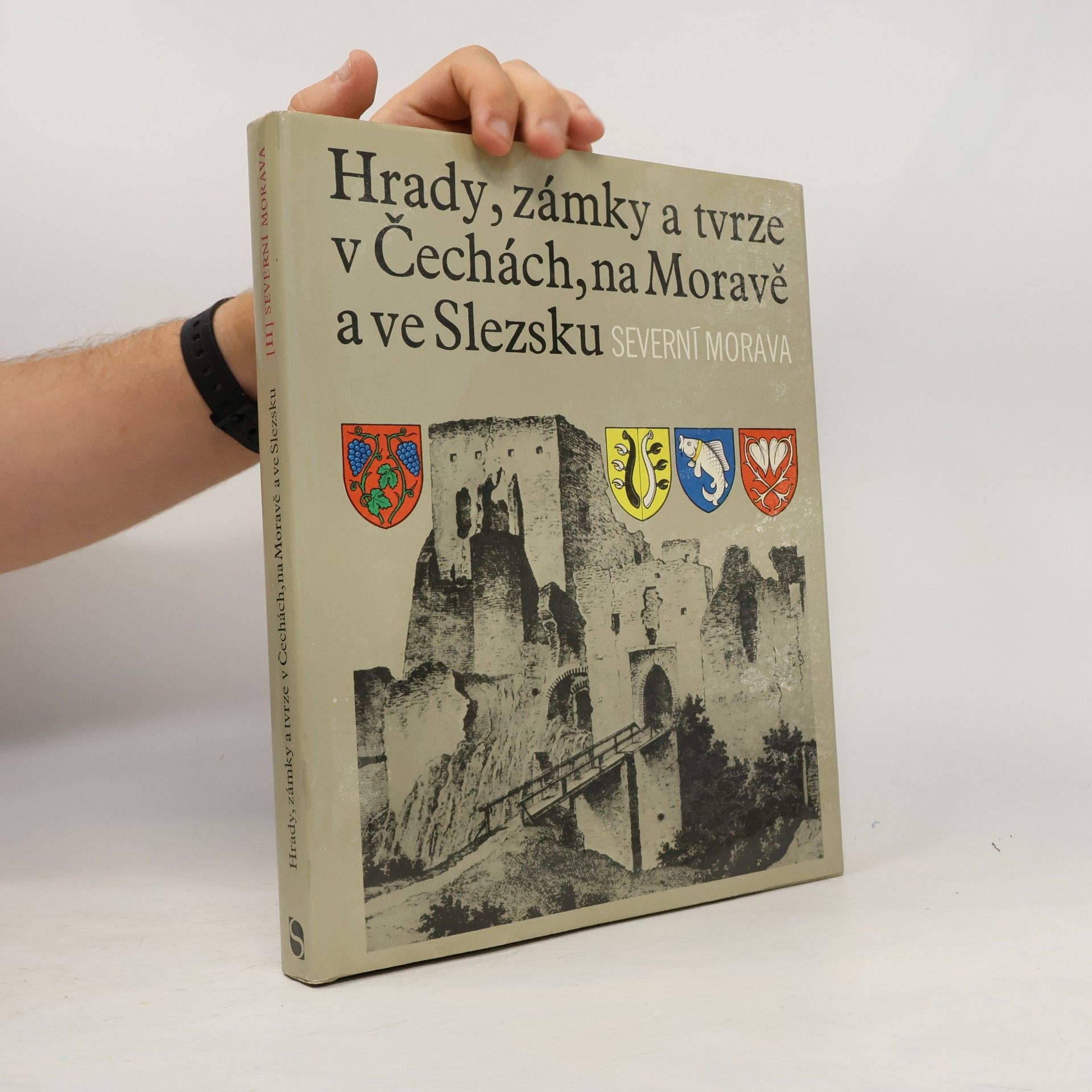 Autorenkollektiv Hrady, zámky a tvrze v Čechách, na Moravě a ve Slezsku II. Severní Morava