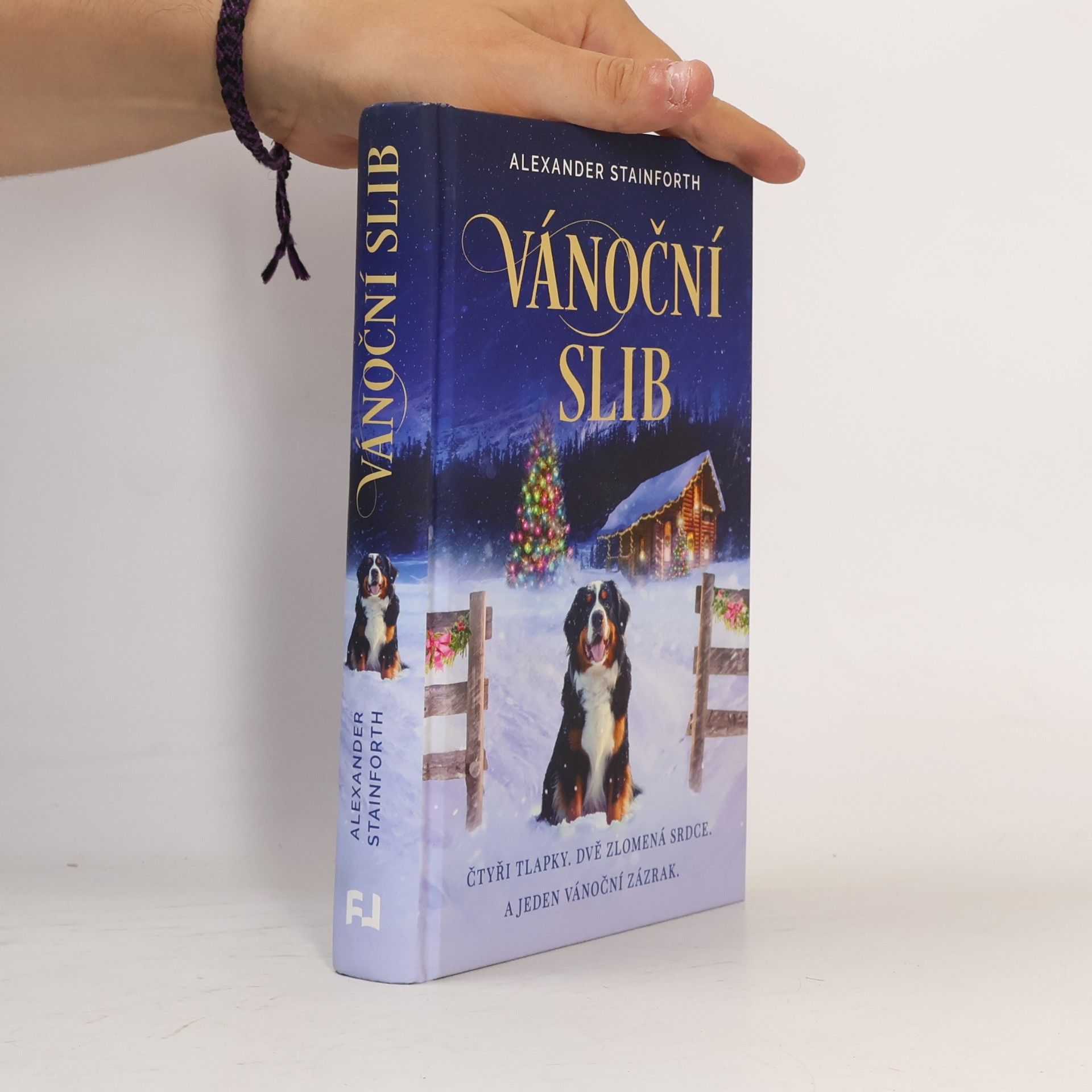Alexander Stainforth Vánoční slib