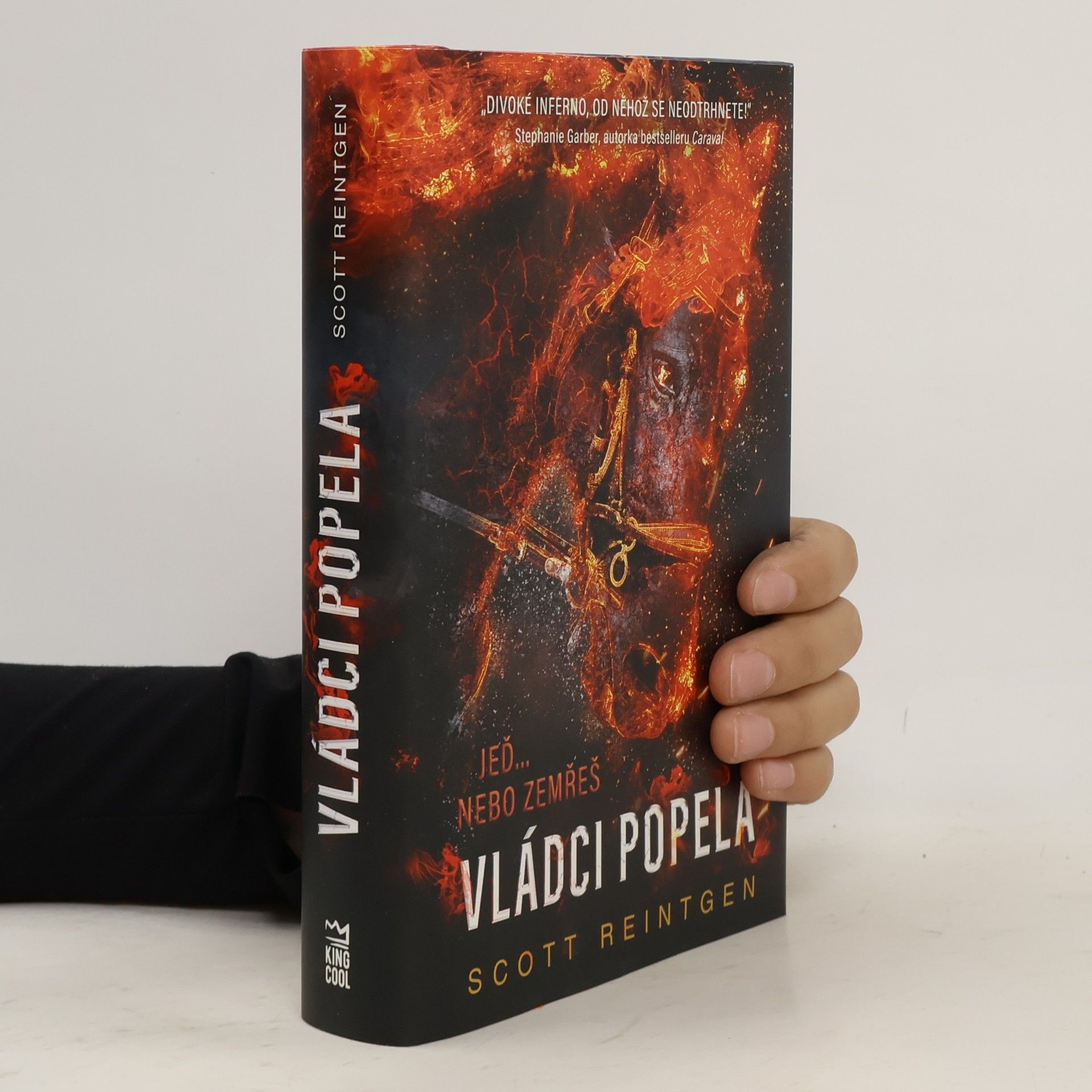Scott Reintgen Vládci popela