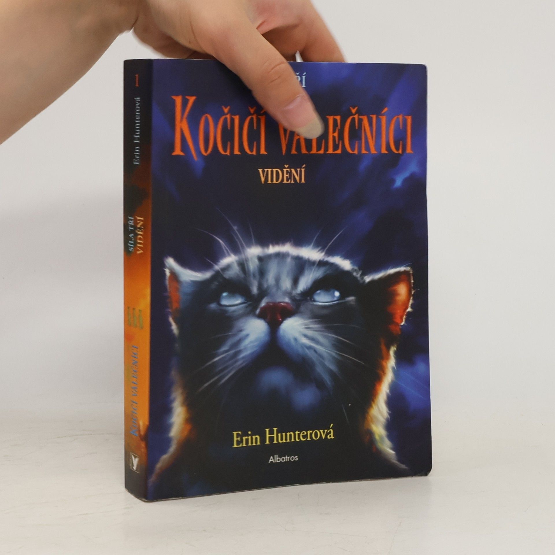 Erin Hunter Kočičí válečníci : síla tří. Vidění