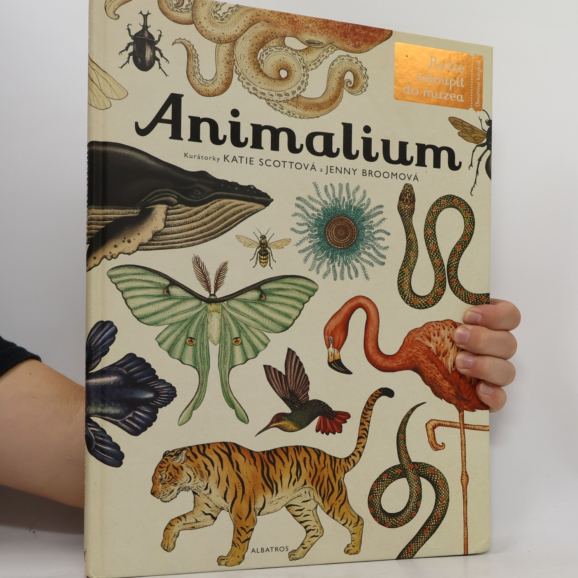Jenny Broom Animalium
