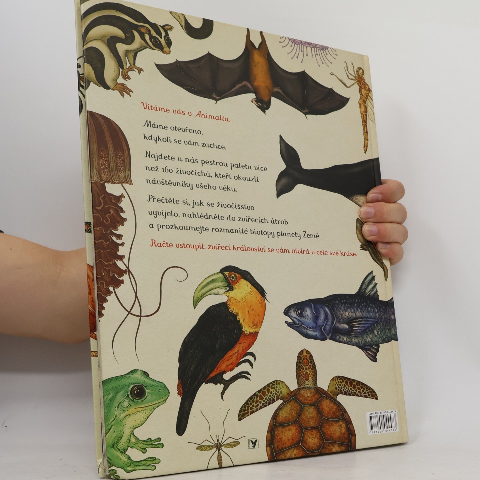 Katie Scott Animalium
