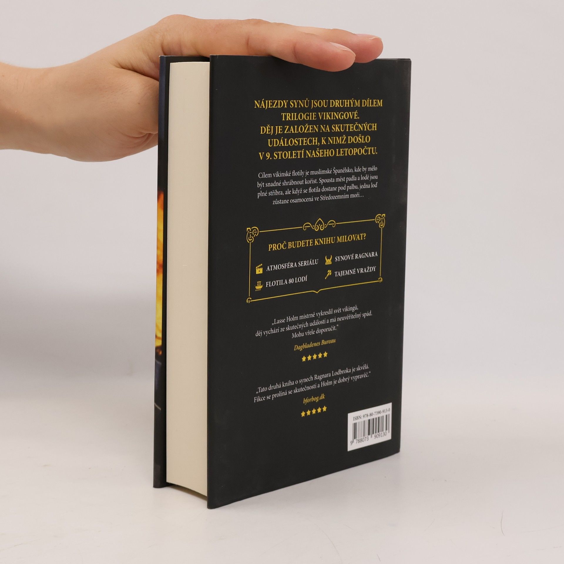 Lasse Holm Vikingové. Nájezdy synů