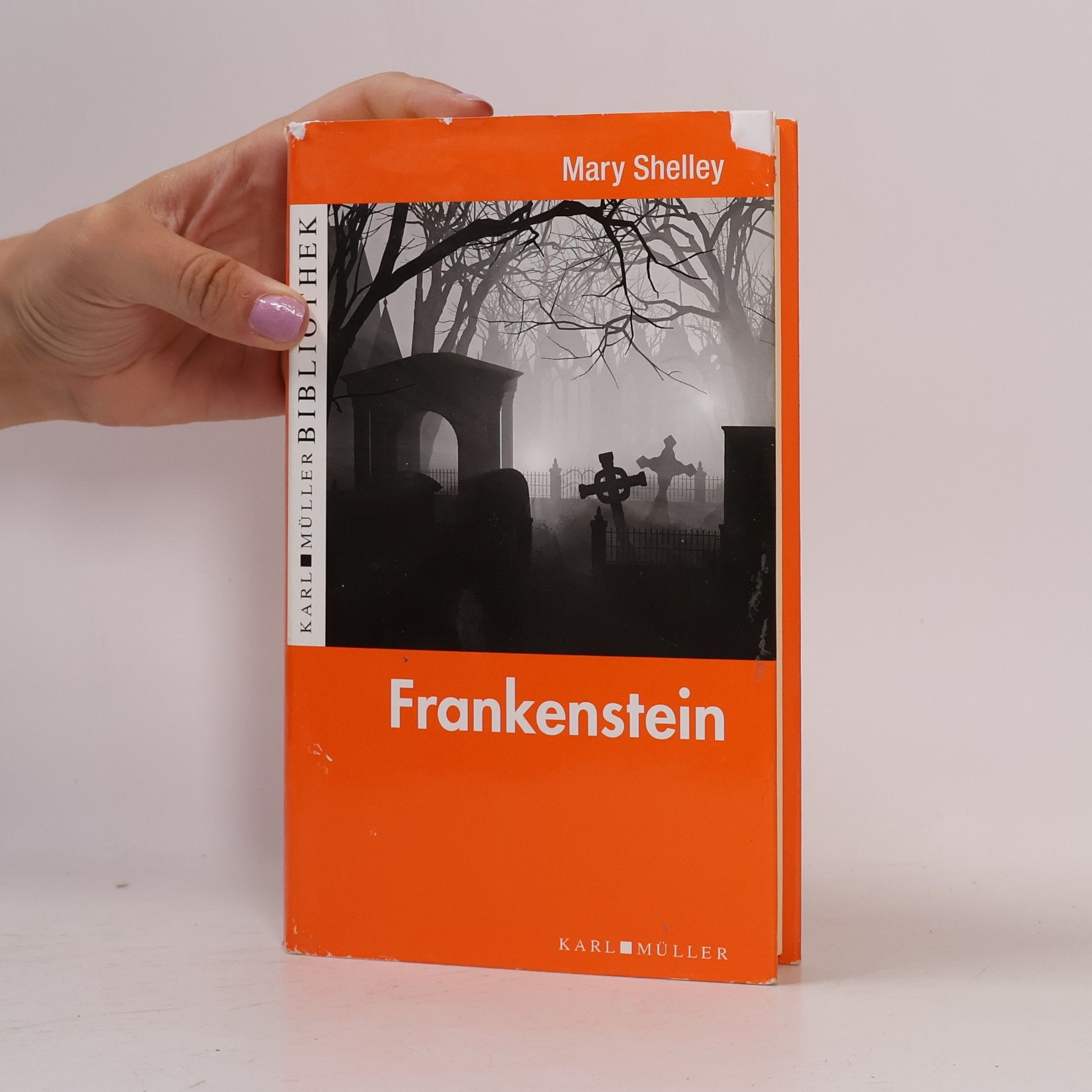 Mary Shelley Frankenstein