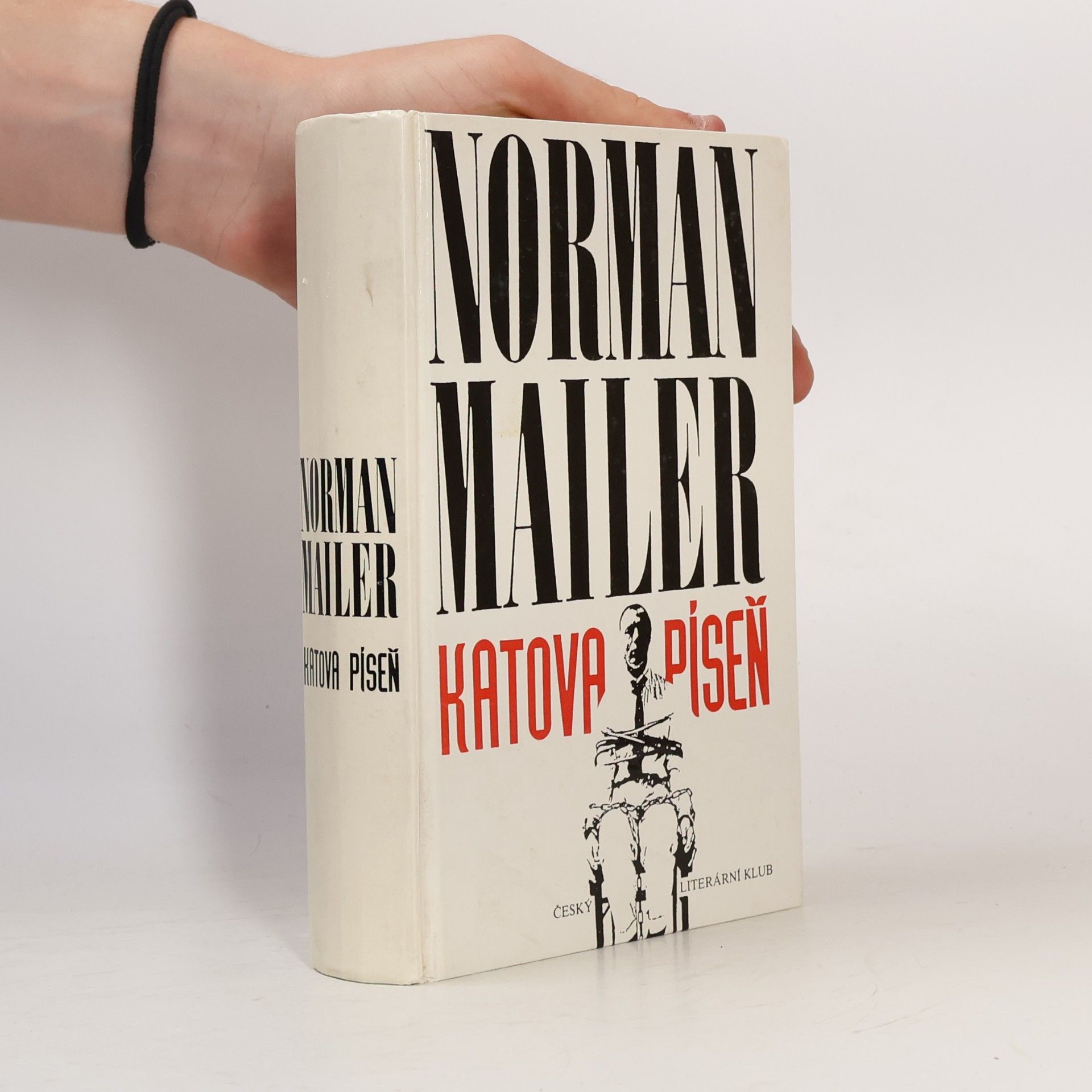 Norman Mailer Katova píseň