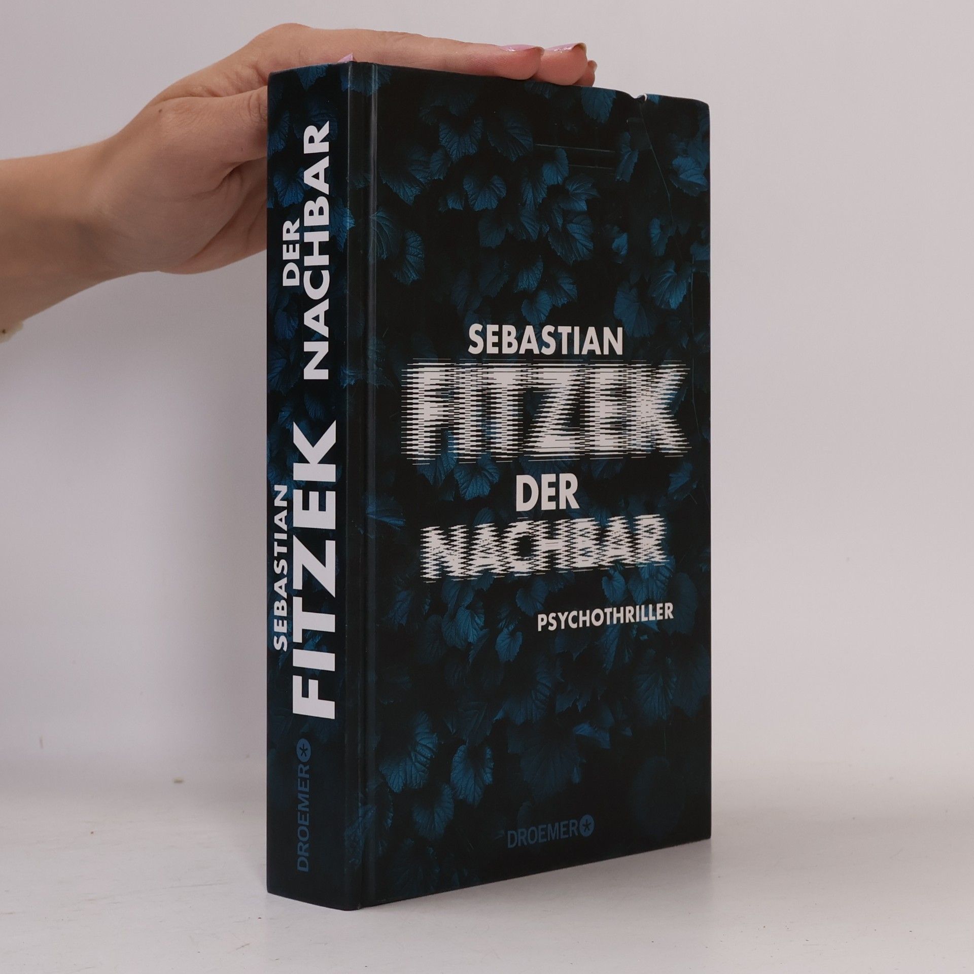Der Nachbar