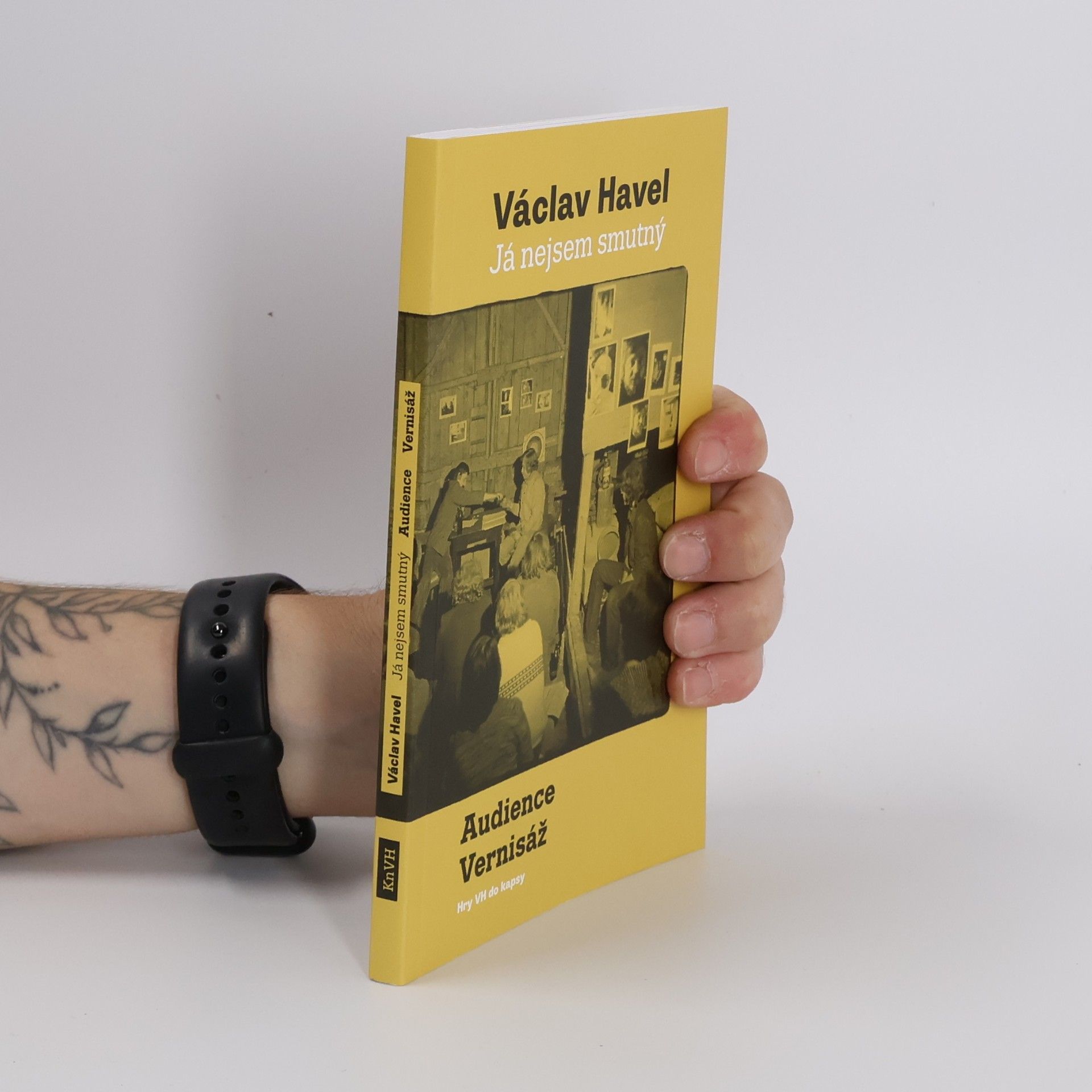 Václav Havel Já nejsem smutný: Audience, Vernisáž