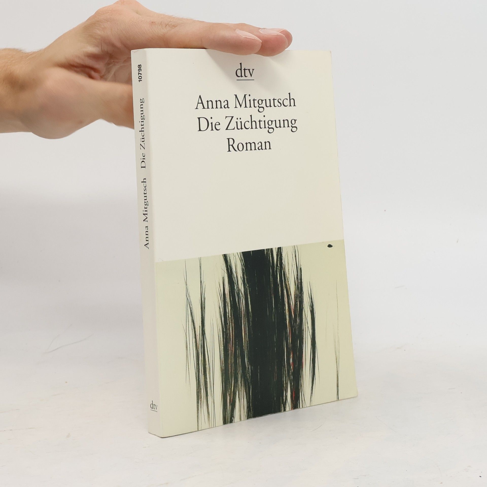 Anna Mitgutsch Die Züchtigung