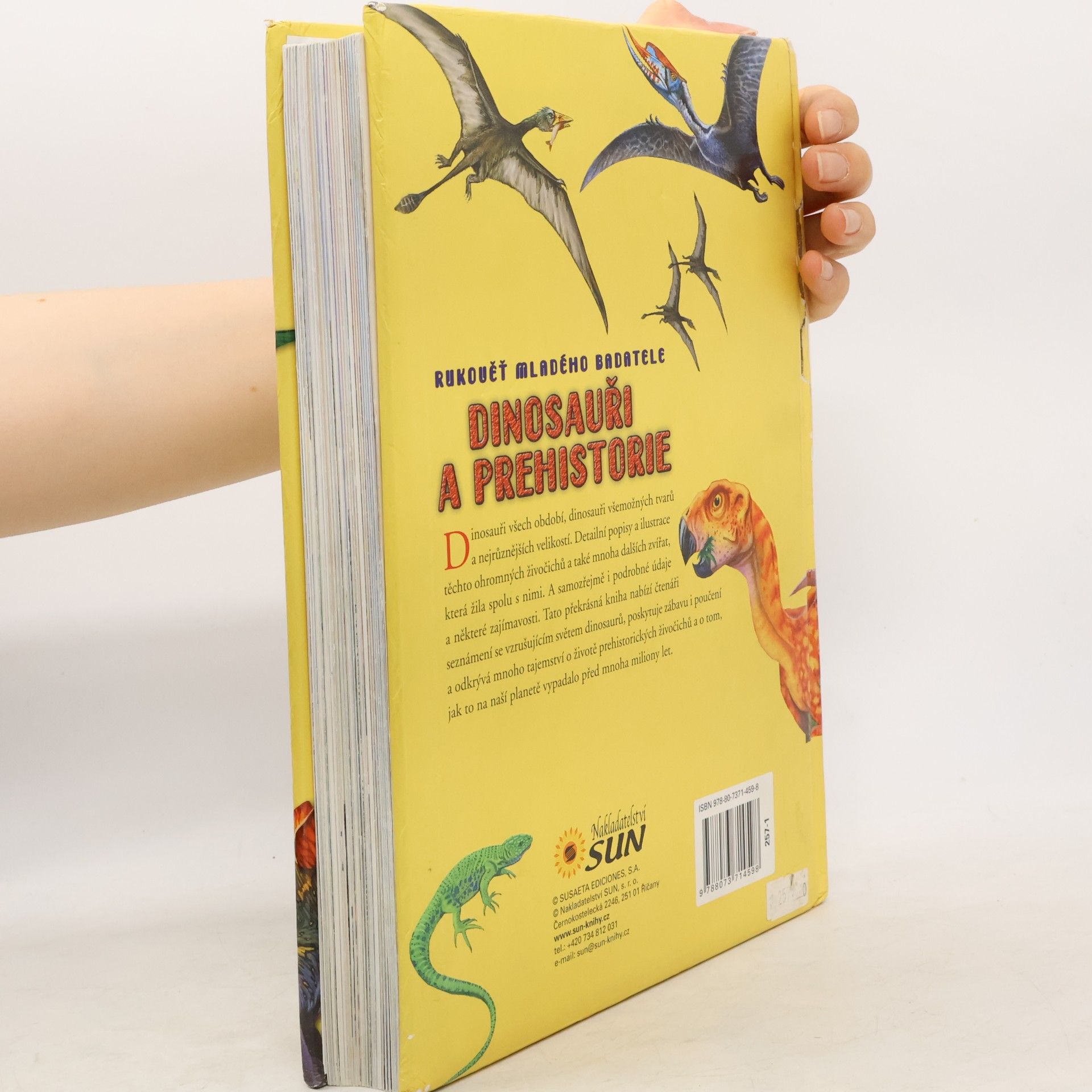 Various authors Dinosauři a prehistorie