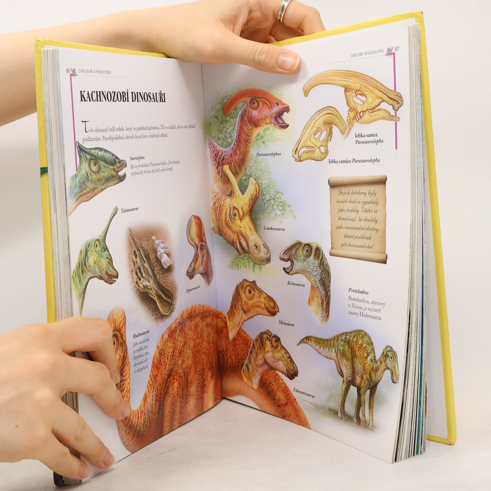 Various authors Dinosauři a prehistorie