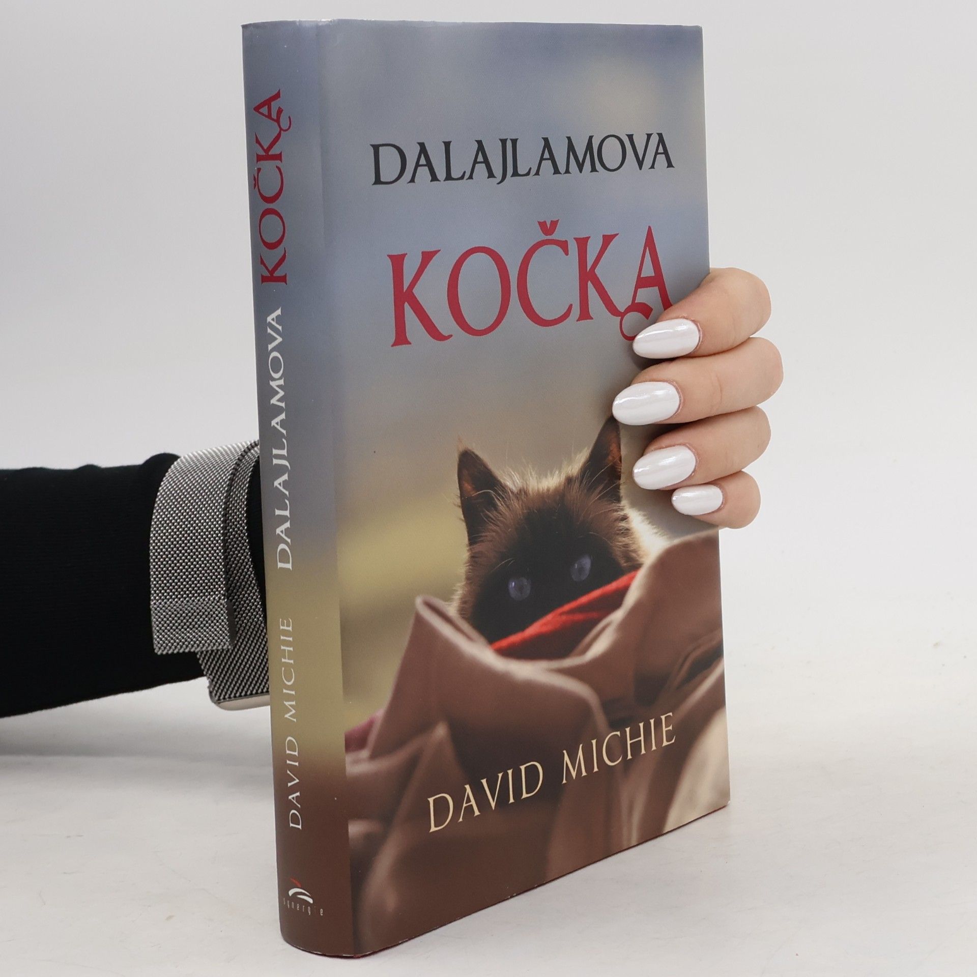 David Michie Dalajlamova kočka