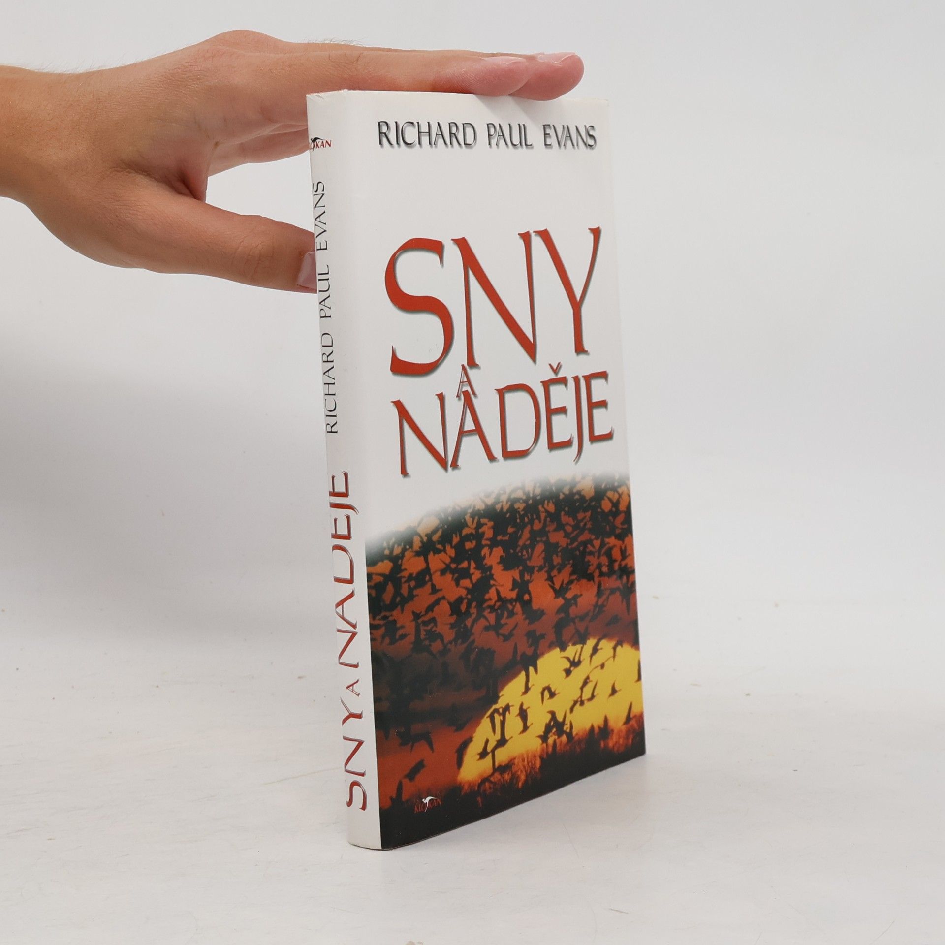 Richard Paul Evans Sny a naděje