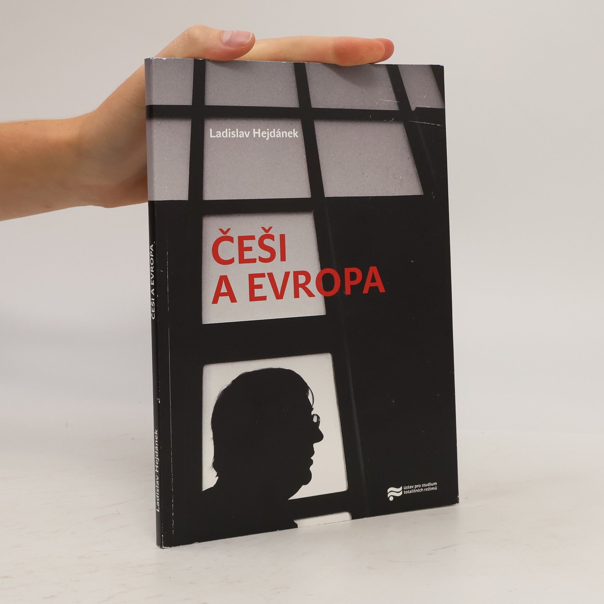 Češi a Evropa