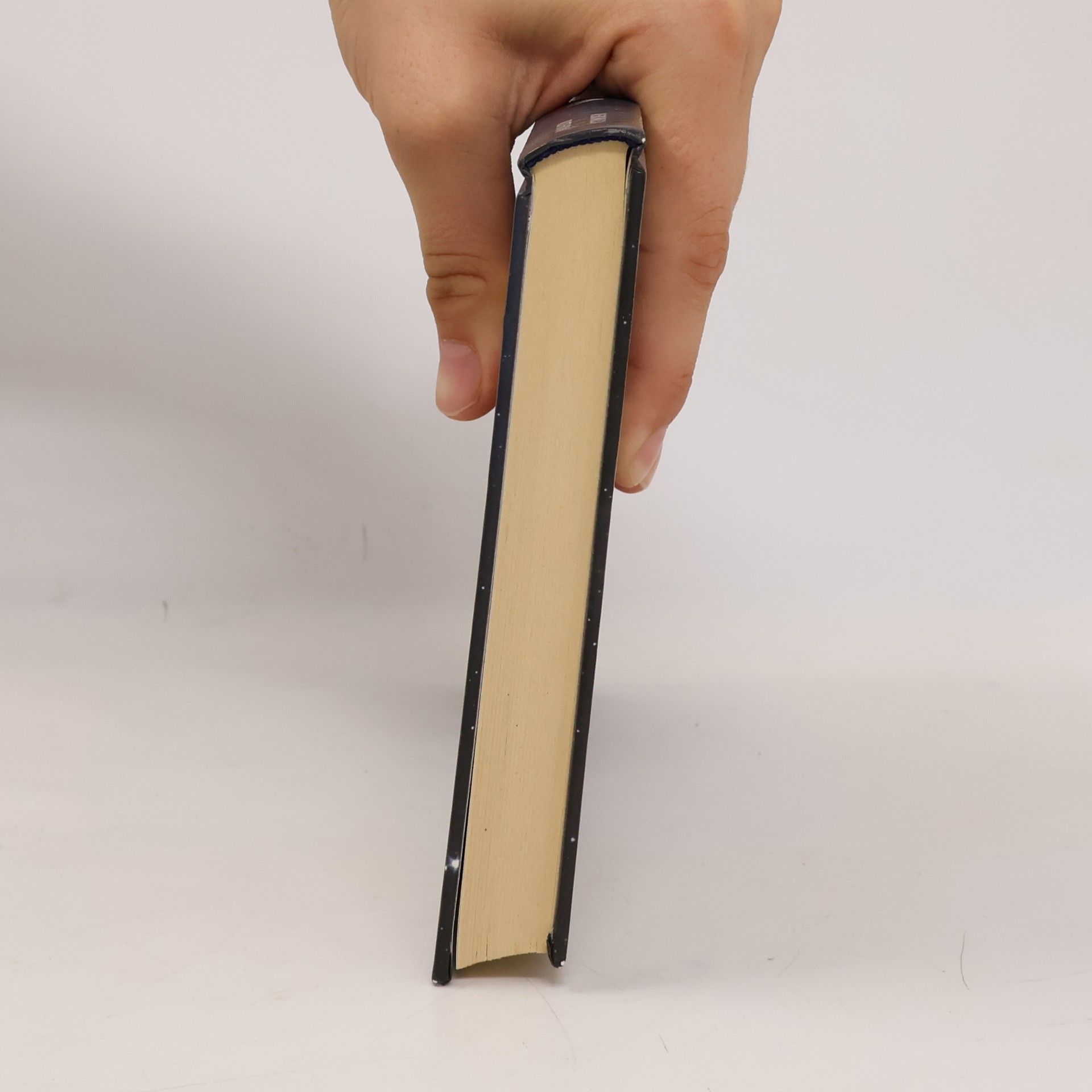 Veronica Roth Čtyřka