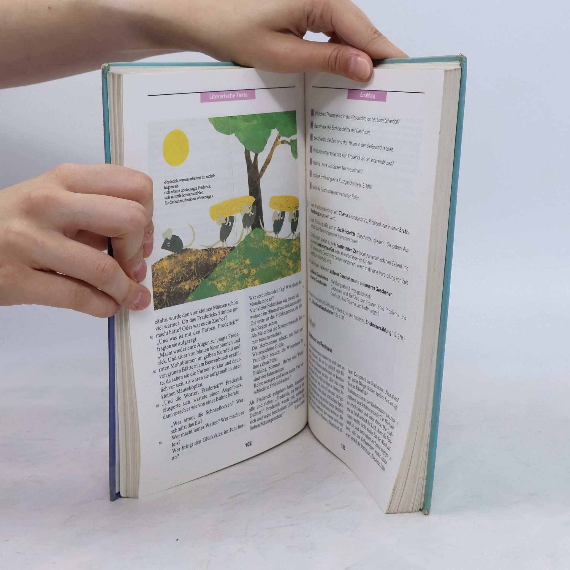 Heiner Ruf bsv-Sprachbuch