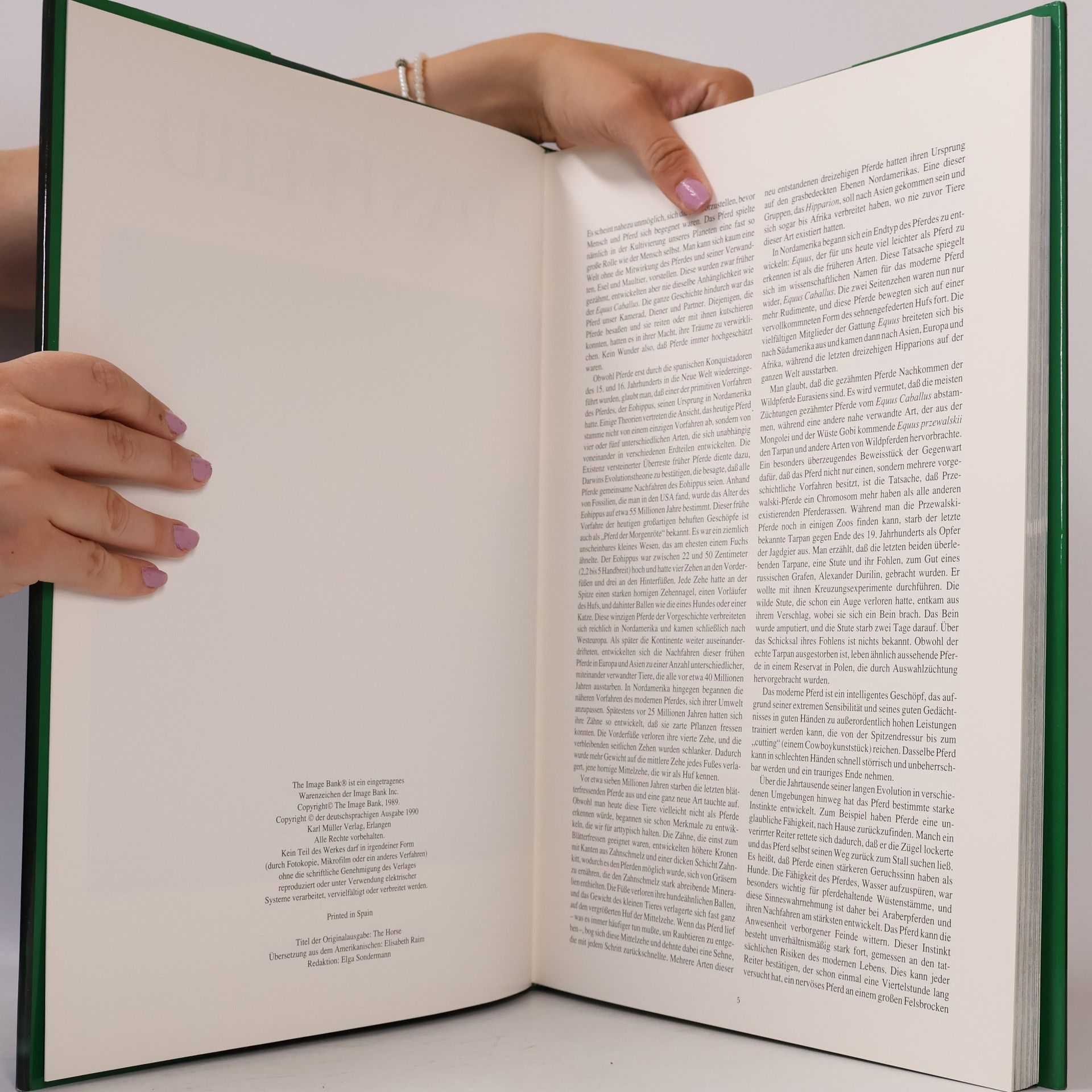 Various authors Das Pferd