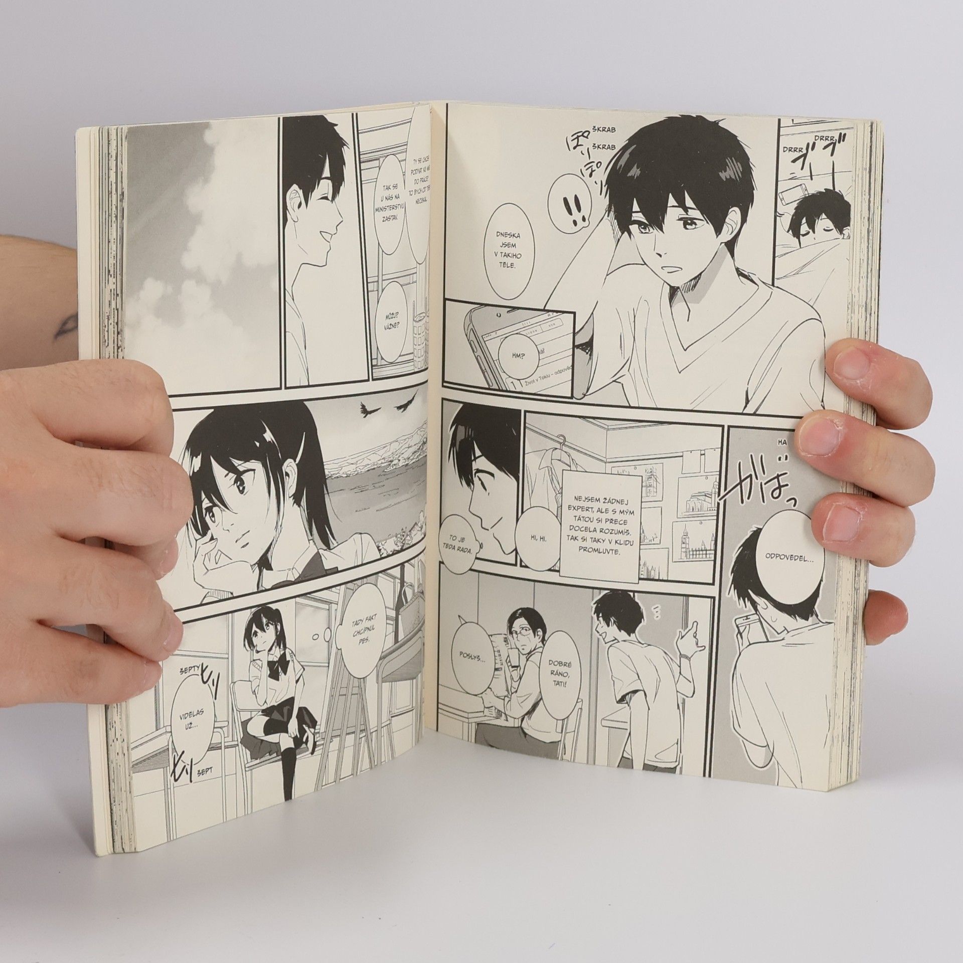 Makoto Šinkai To bylo tvé jméno 1