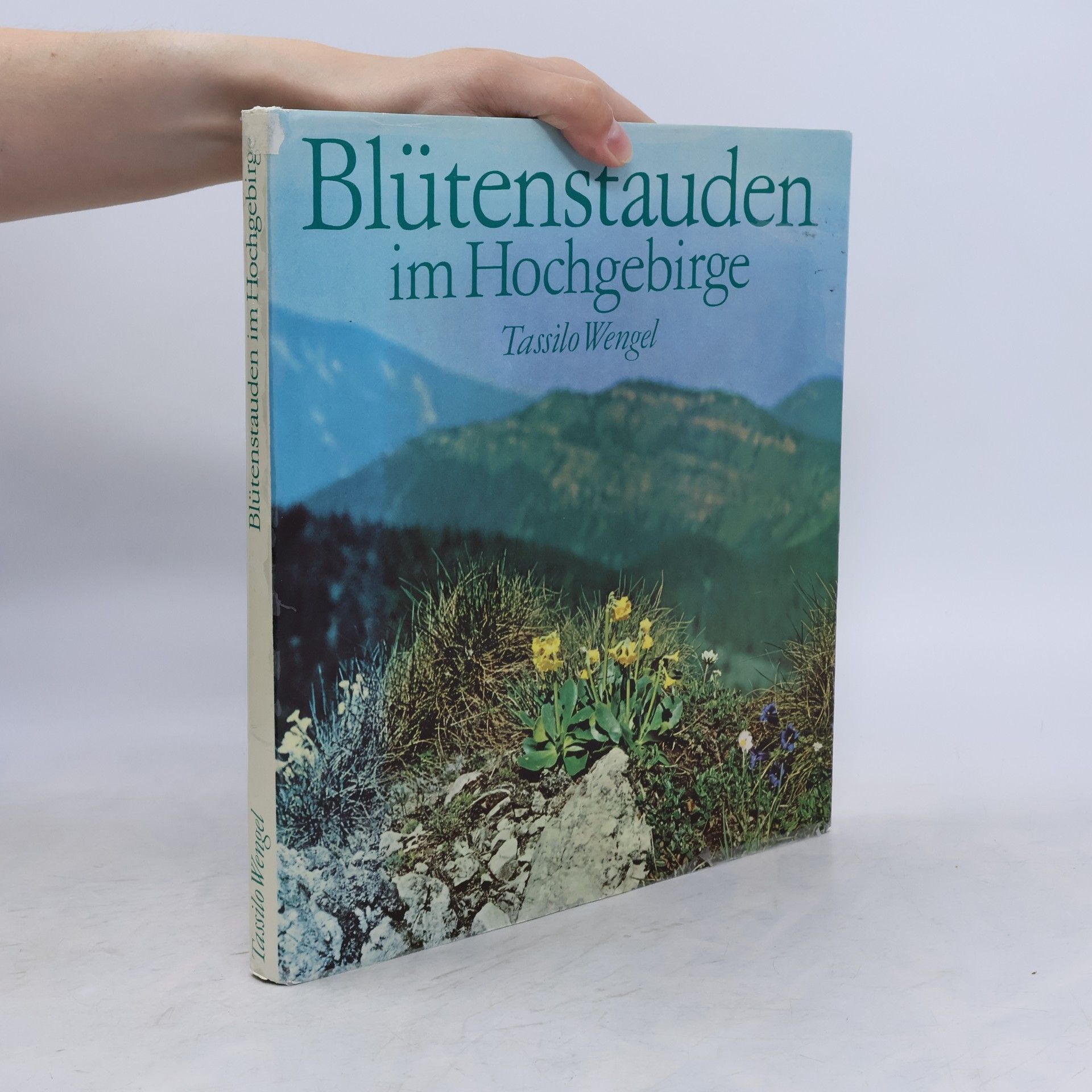 Tassilo Wengel Blütenstauden im Hochgebirge