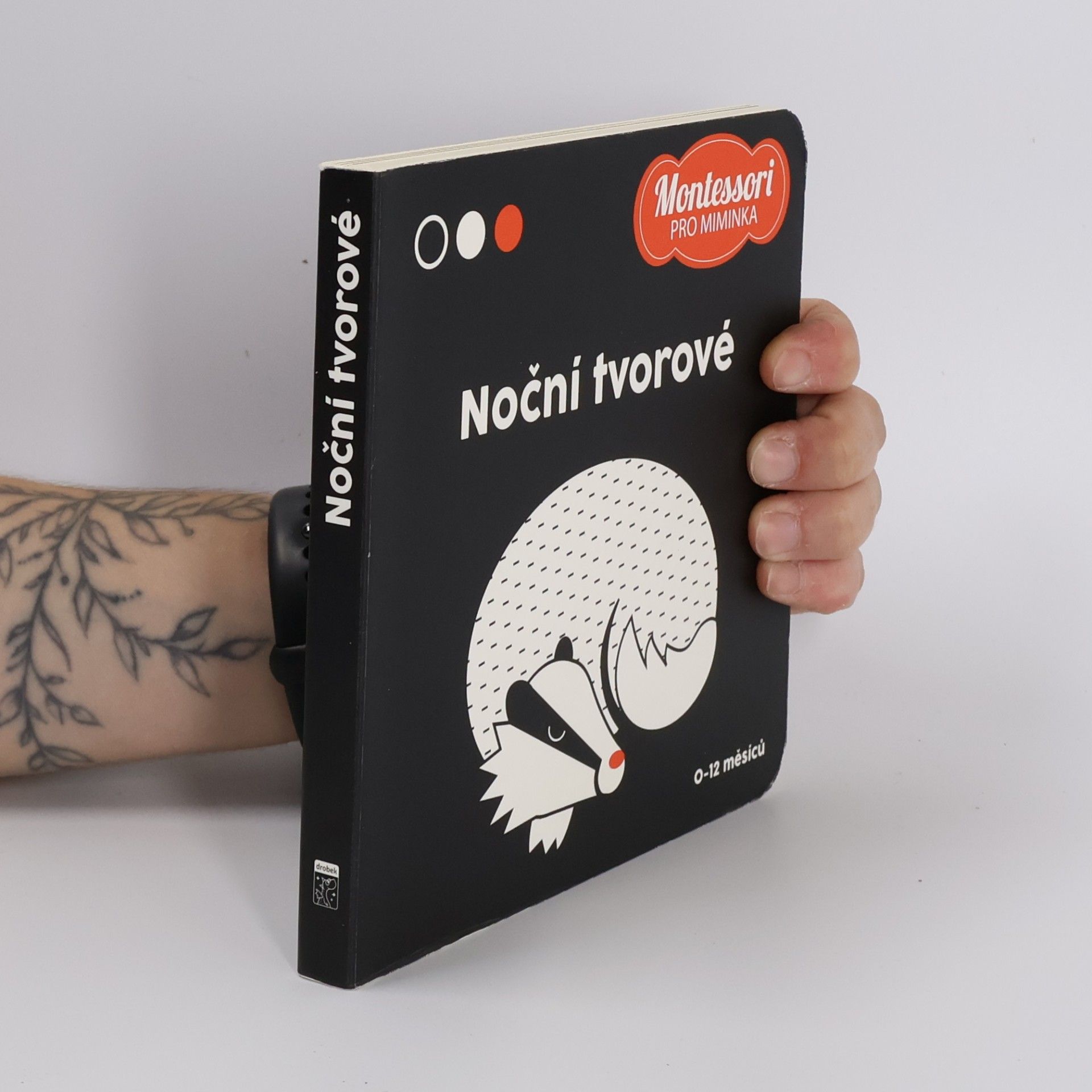 Adéla Korbelářová Noční tvorové