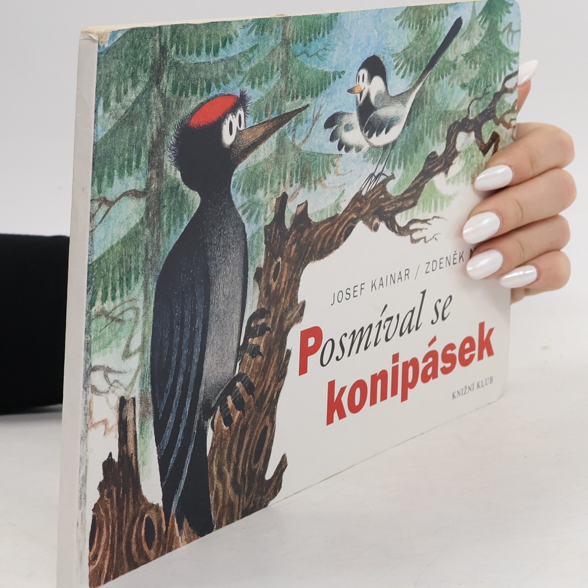 Posmíval se konipásek