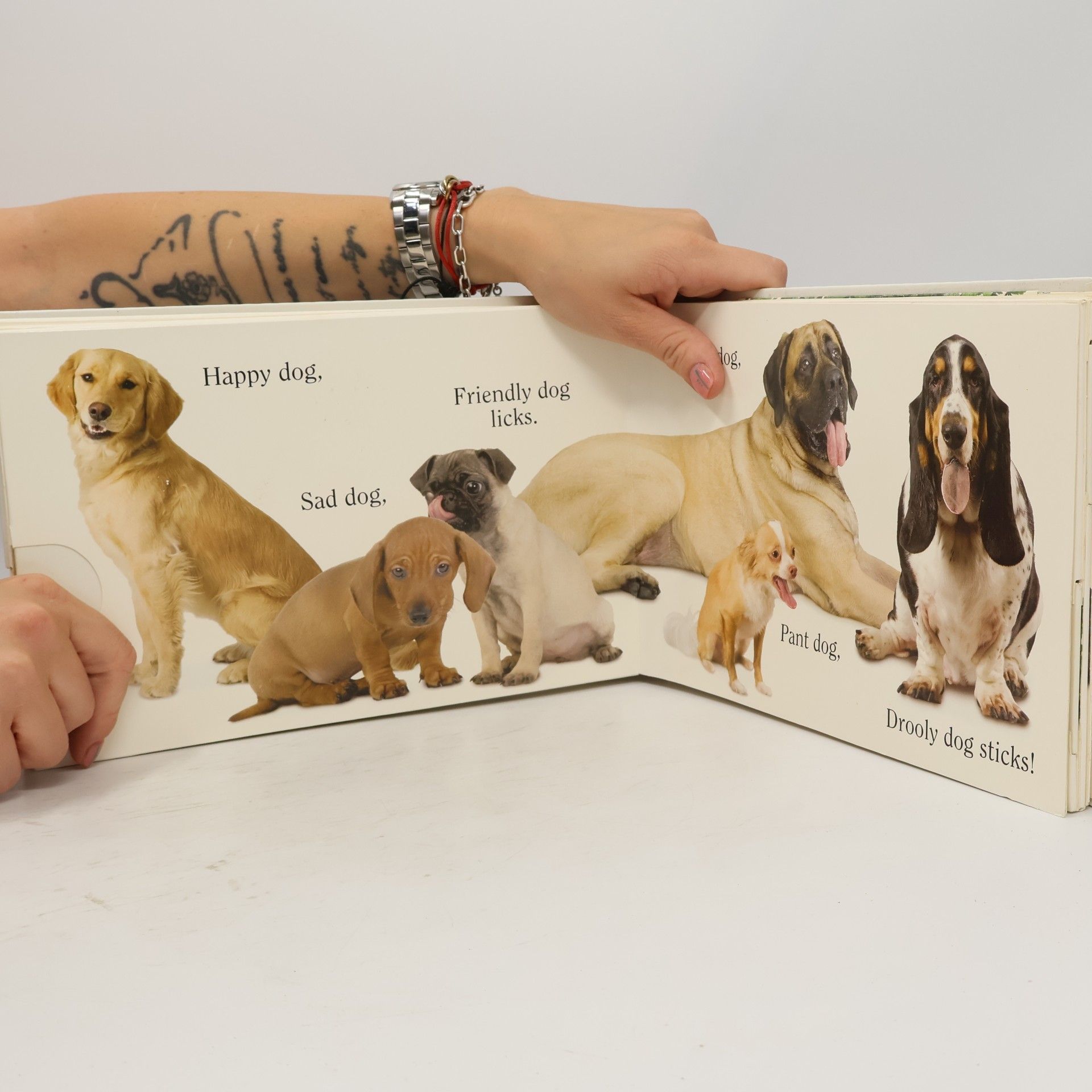 Matthew Van Fleet Dog