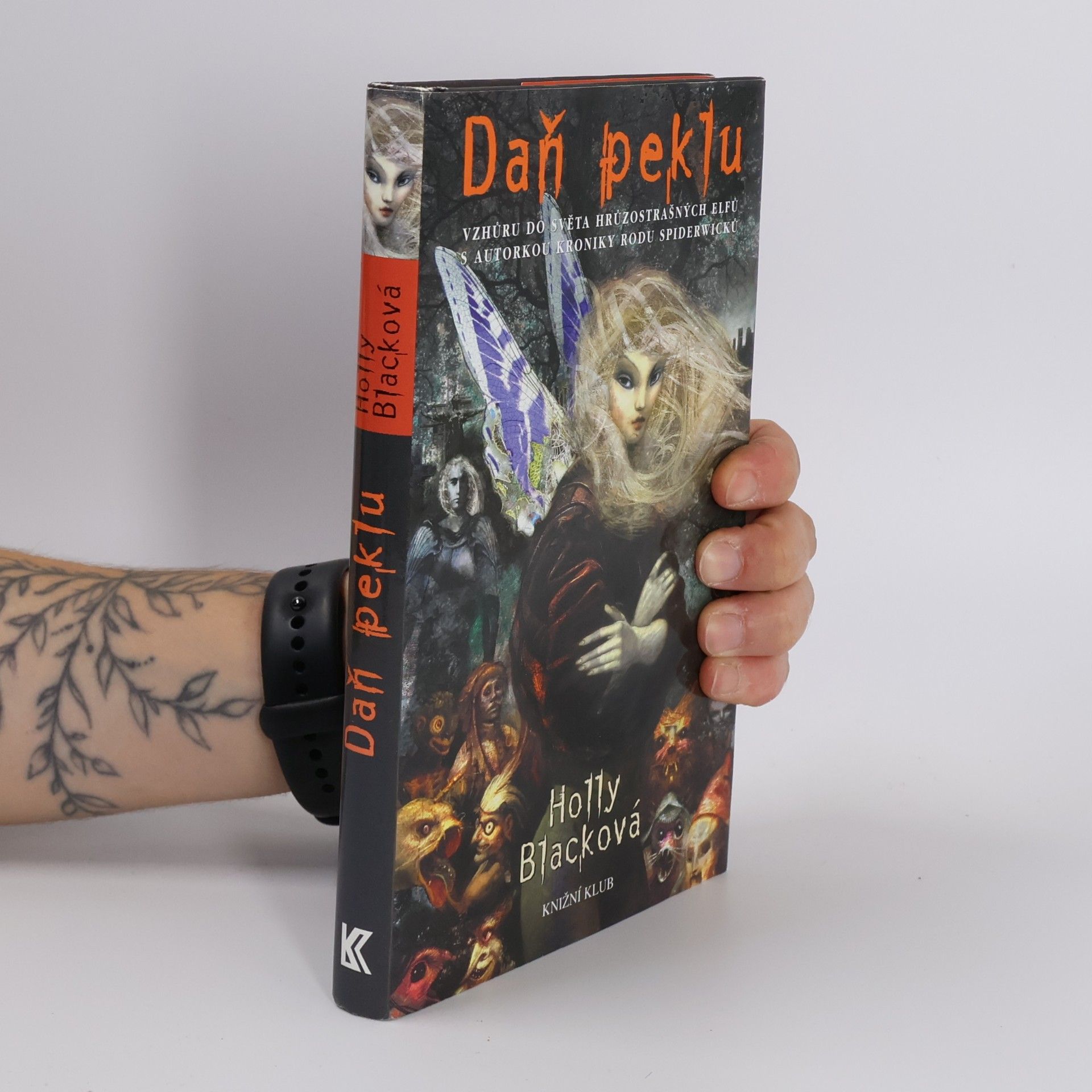 Holly Black Daň peklu