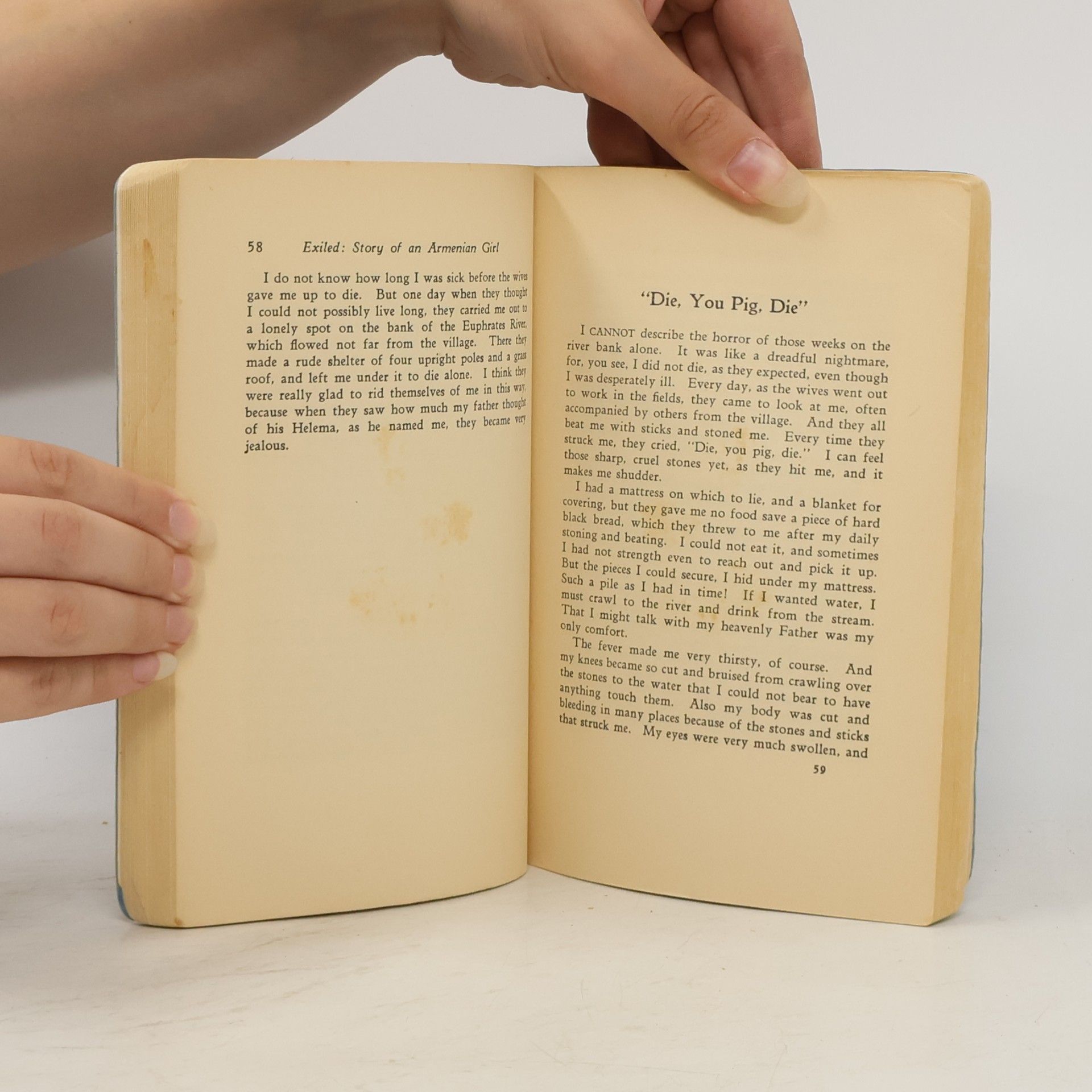 Serpouhi Tavoukdjian Exiled. Story of an Armenian Girl