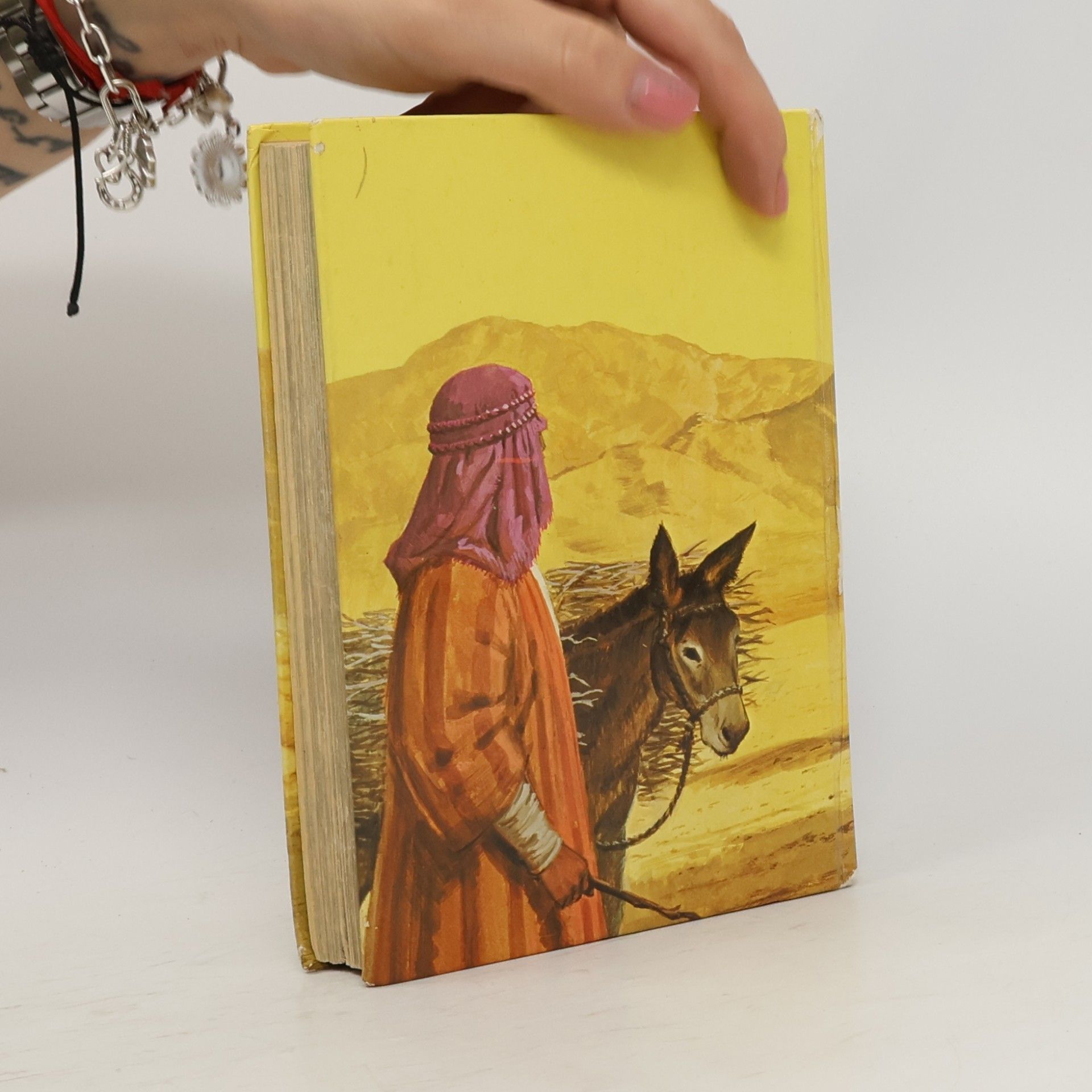 Kolektiv autorů Bible Stories in Colour