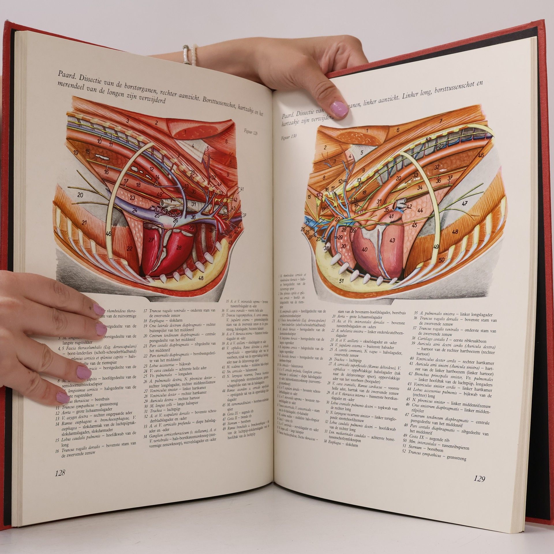 Peter Popesko Topografisch-anatomische atlas van de huisdieren