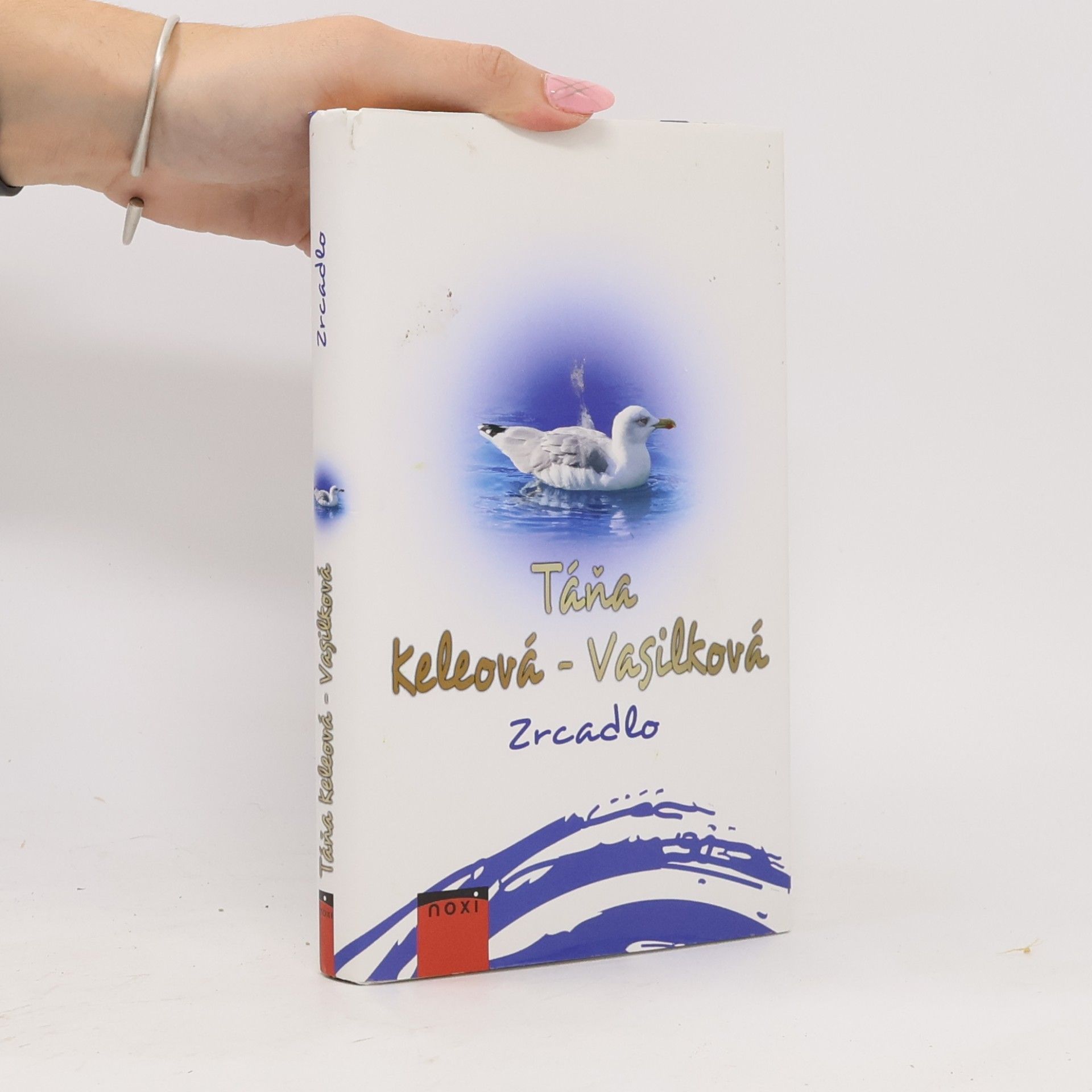 Táňa Keleová-Vasilková Zrcadlo