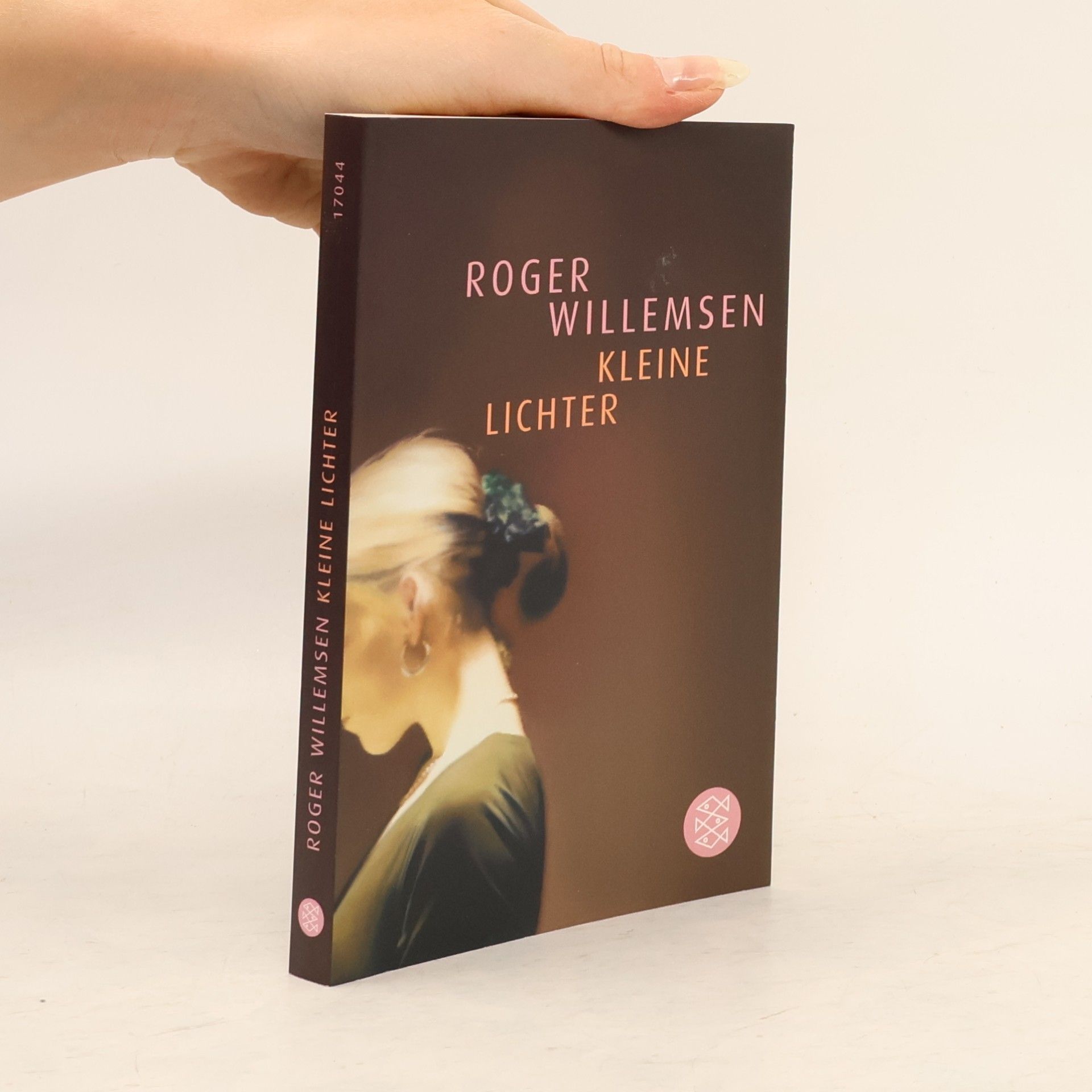 Roger Willemsen Kleine Lichter