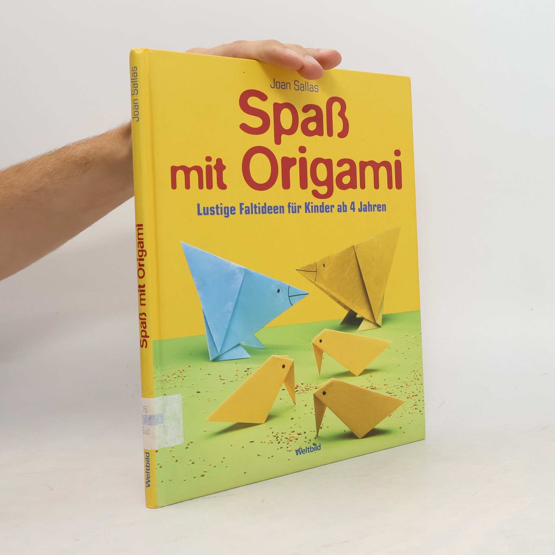 Joan Sallas Spaß mit Origami