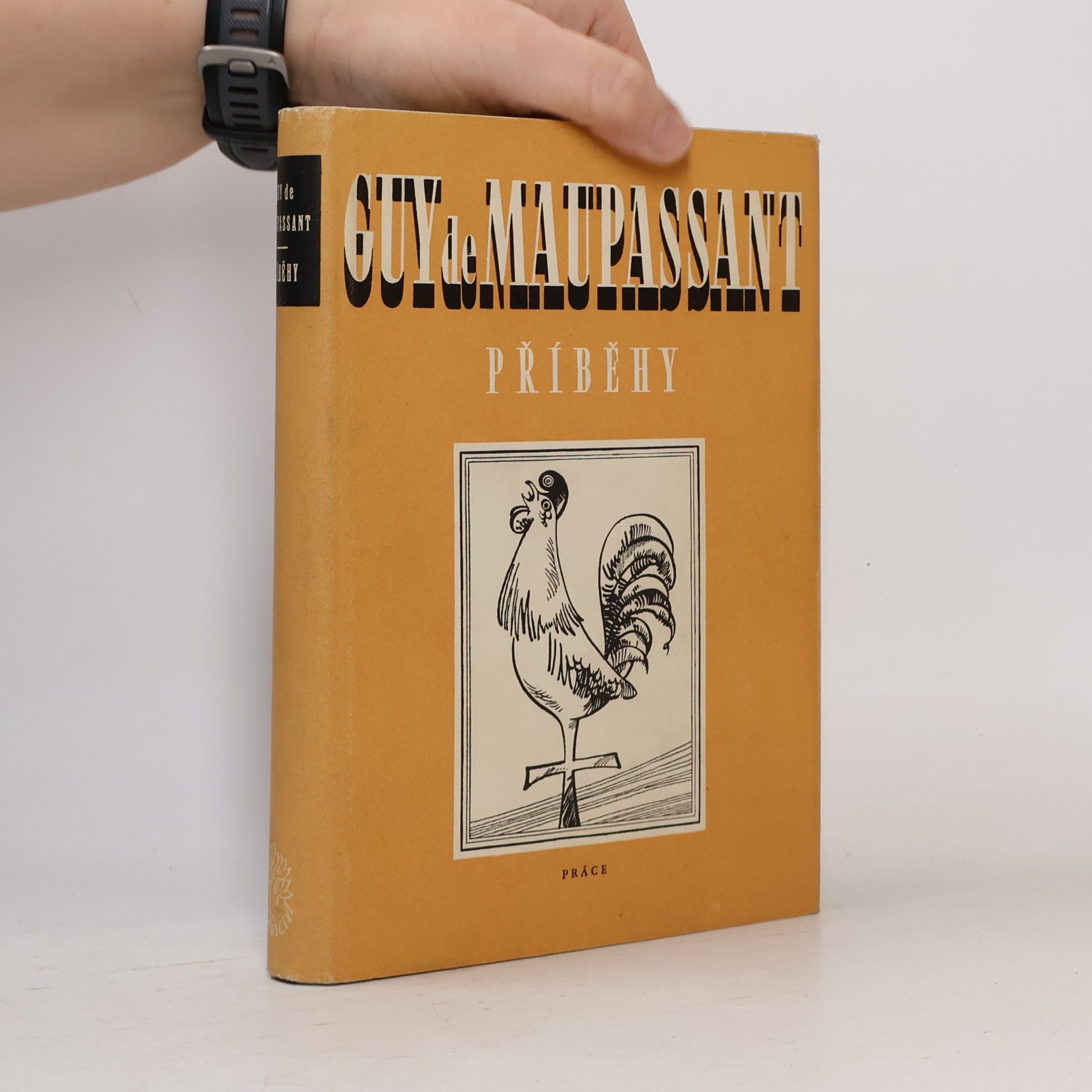 Guy de Maupassant Příběhy. Výbor povídek