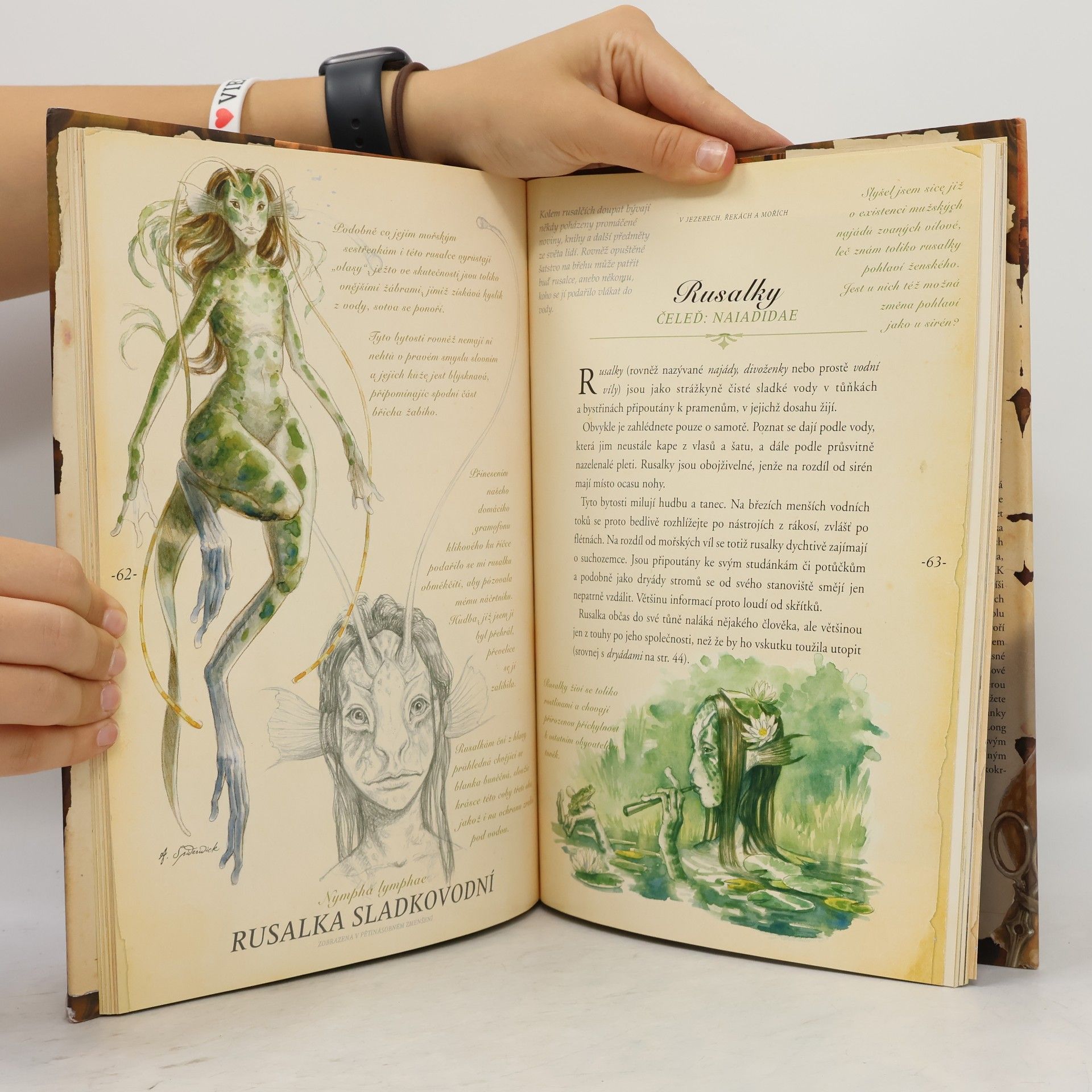 Tony DiTerlizzi Arthur Spiderwick: klíč k určování kouzelných tvorů ve světě kolem nás