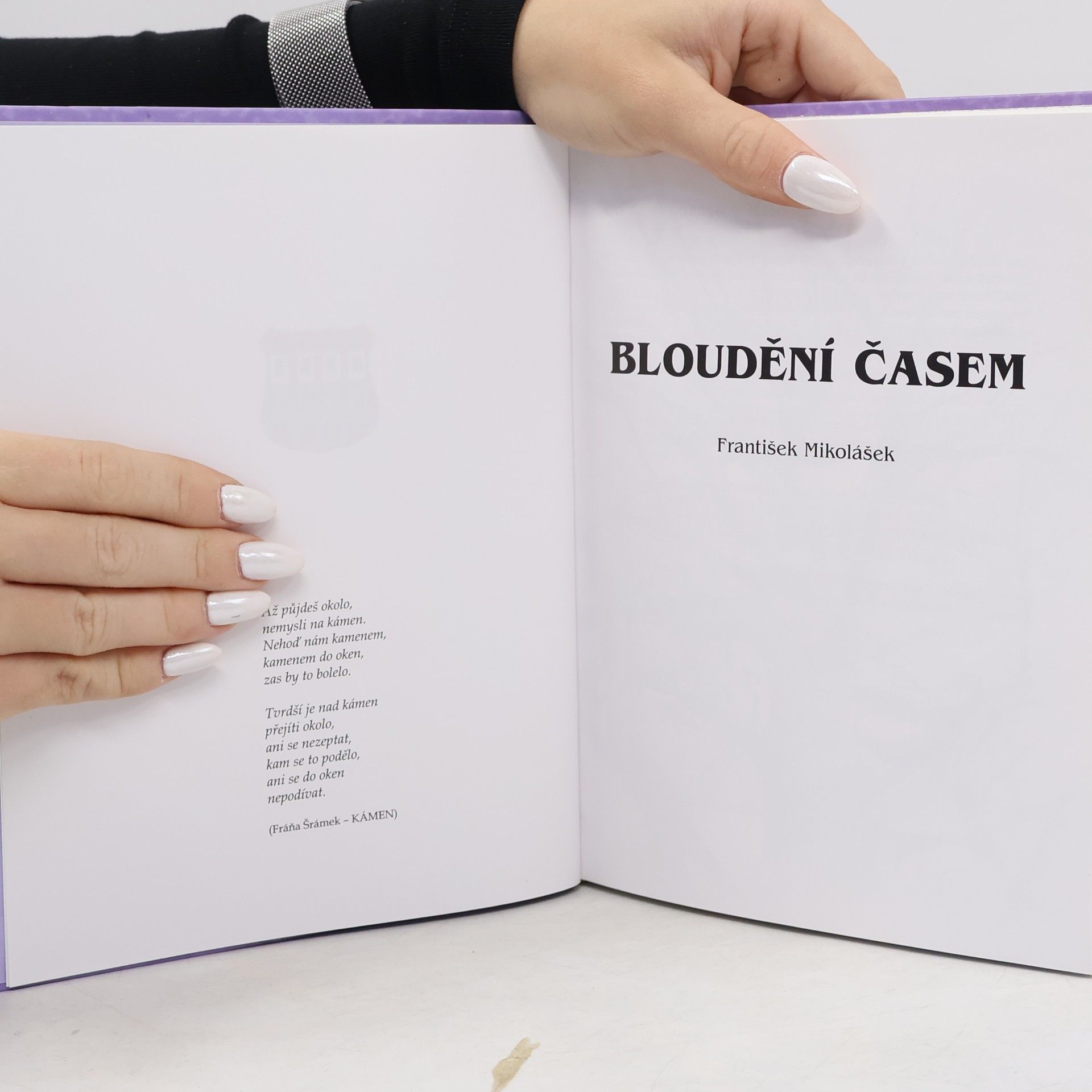 František Mikolášek Bloudění časem