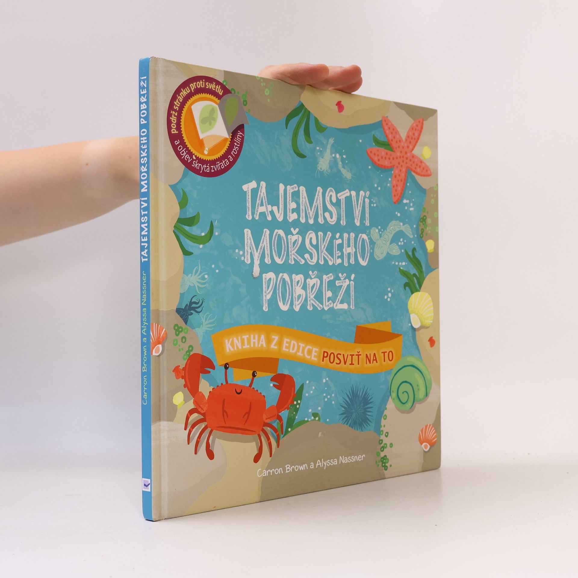 Carron Brown Tajemství mořského pobřeží