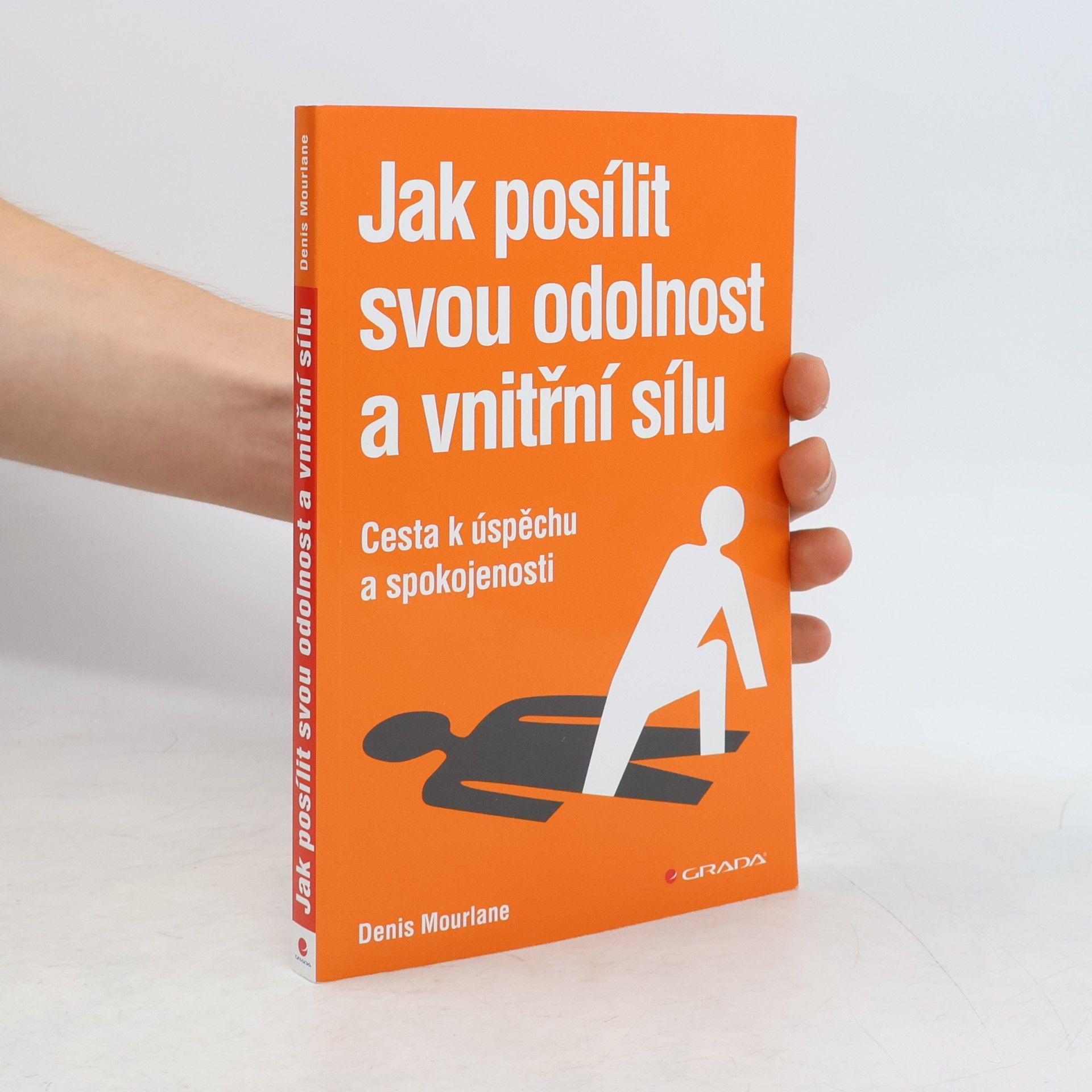 Denis Mourlane Jak posílit svou odolnost a vnitřní sílu. Cesta k úspěchu a spokojenosti