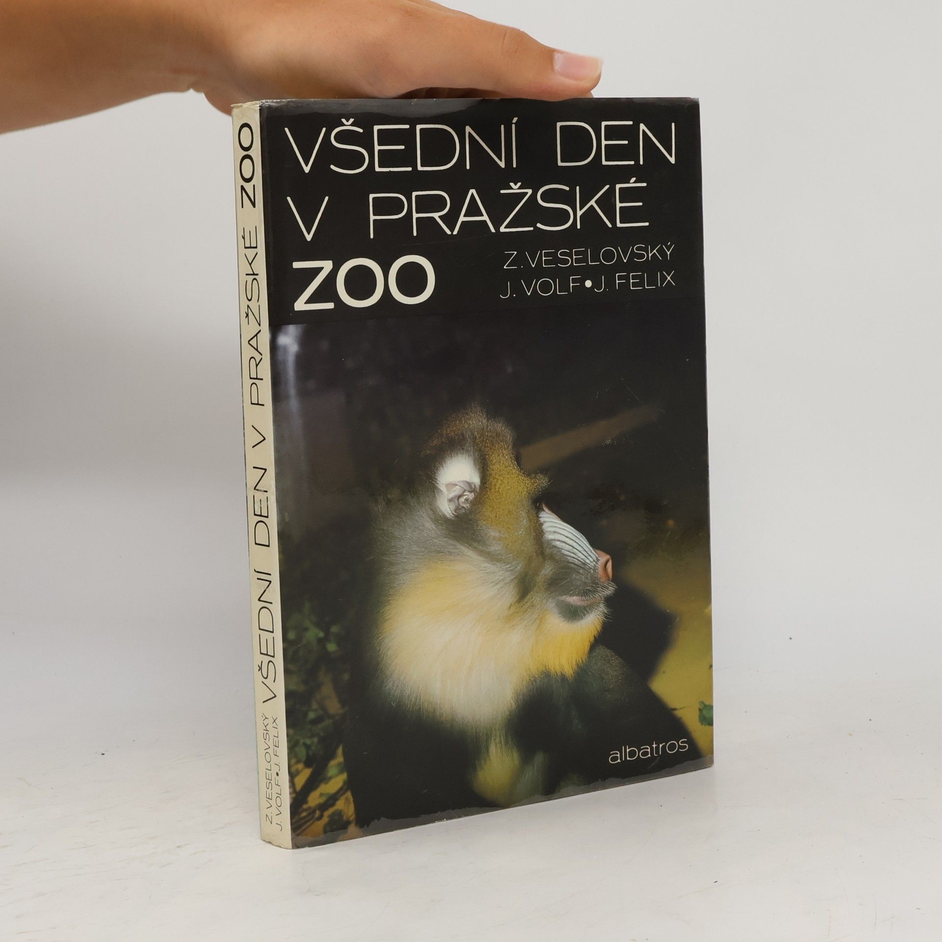 Všední den v pražské ZOO
