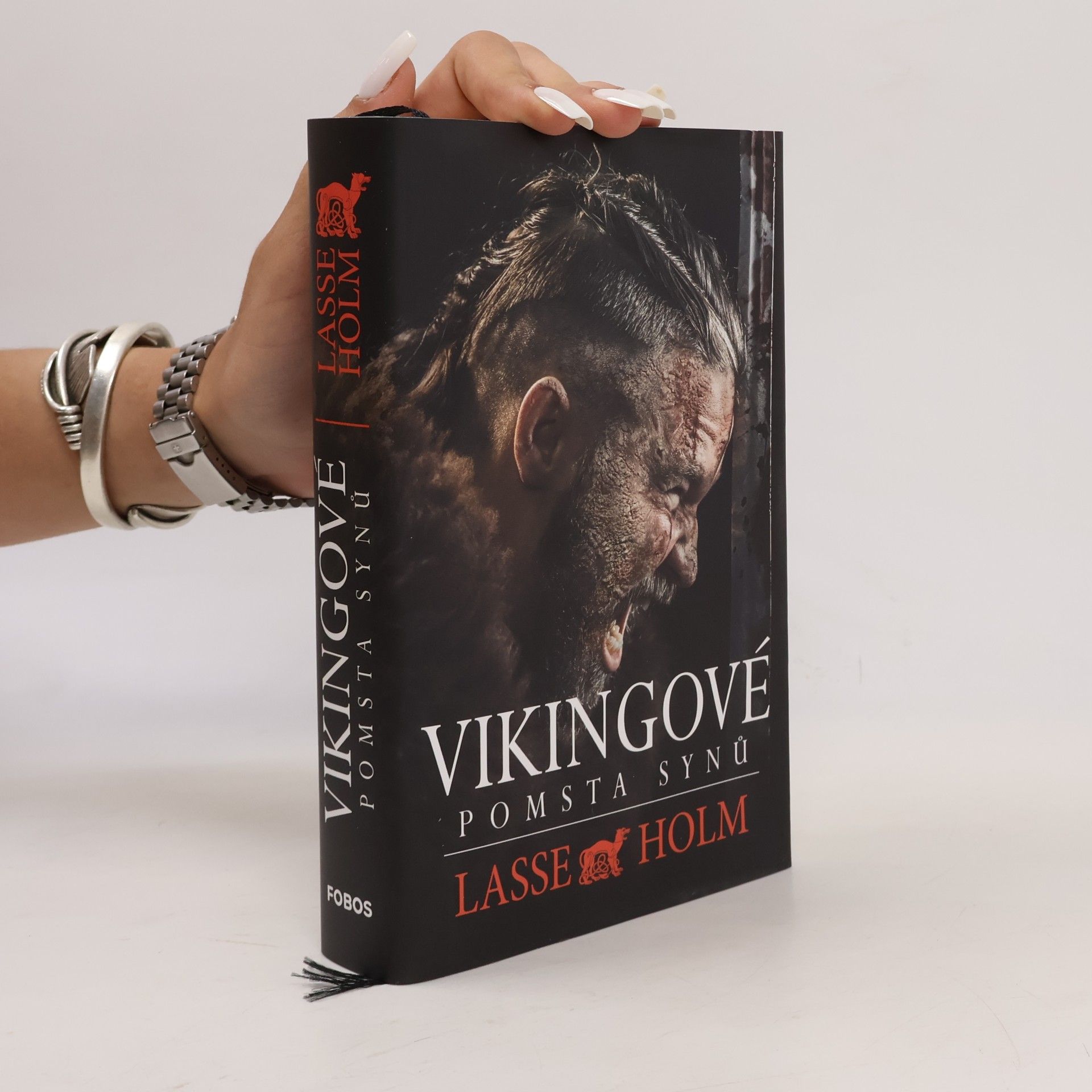 Vikingové. Pomsta synů