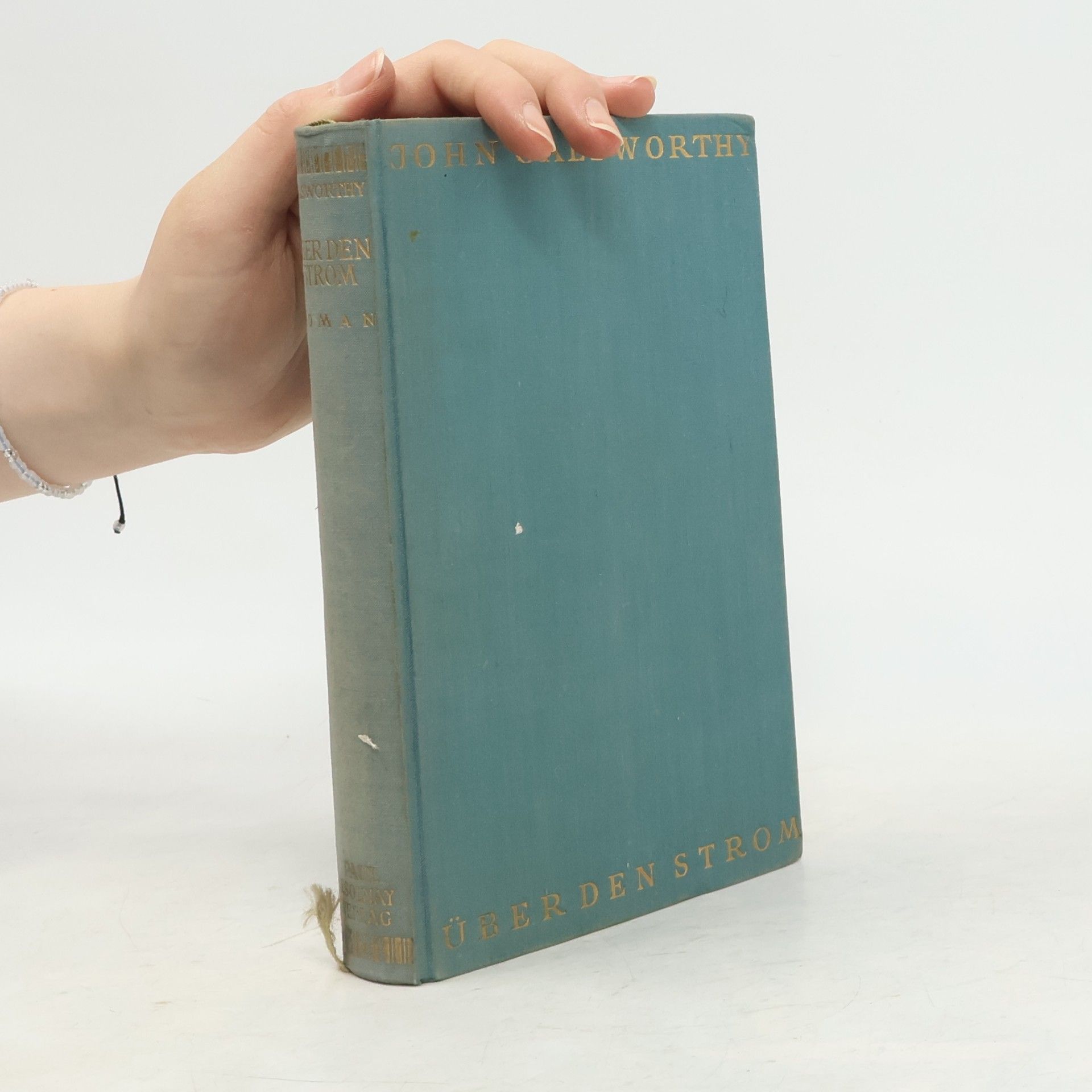 John Galsworthy Gesammelte Werke. Über den Strom