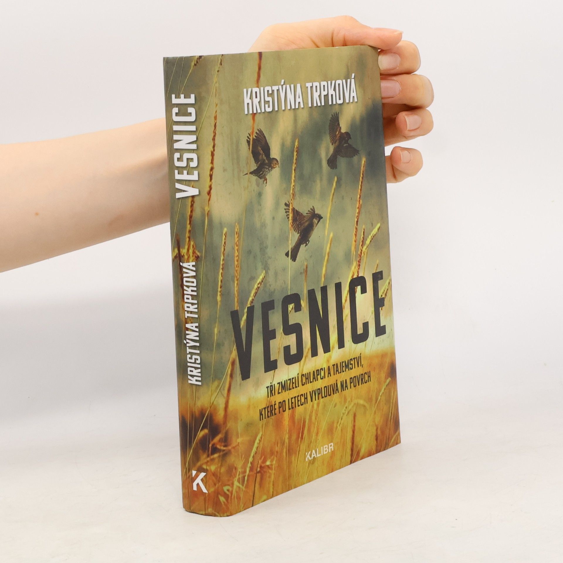 Kristýna Trpková Vesnice