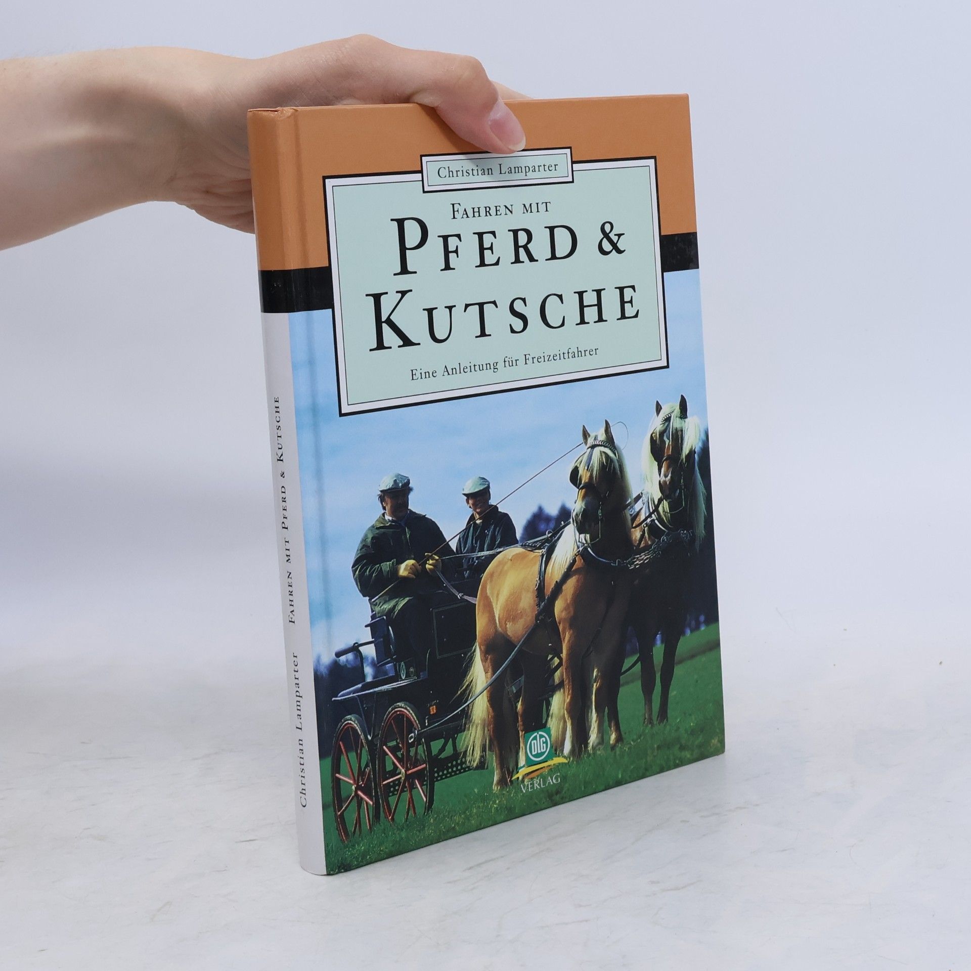 Christian Lamparter Fahren mit Pferd & Kutsche