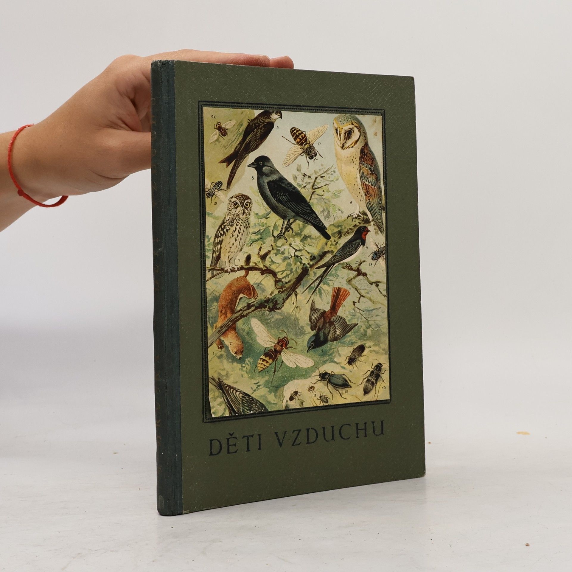 Bohuslav Hruška  Děti vzduchu