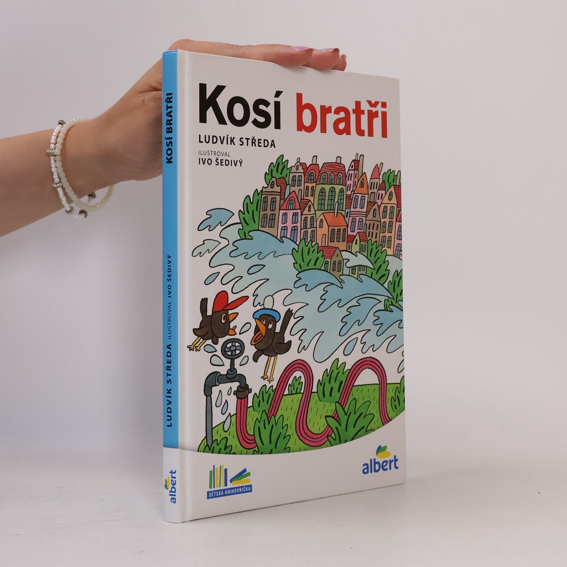 Ludvík Středa Kosí bratři