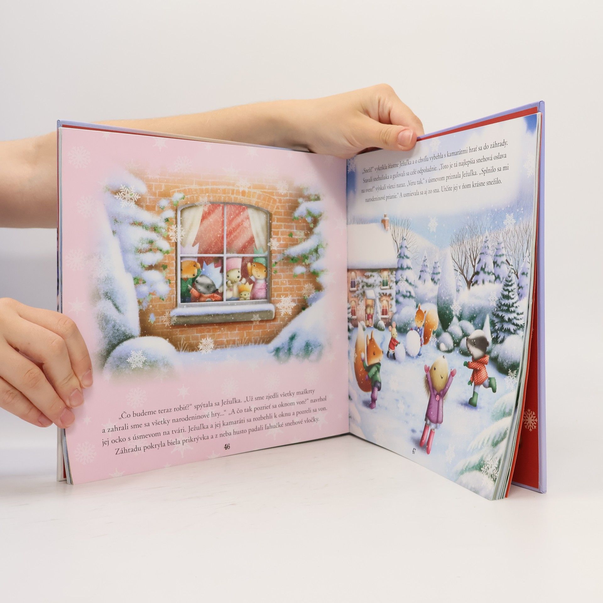 Collectif d'auteurs Zasnežené rozprávky