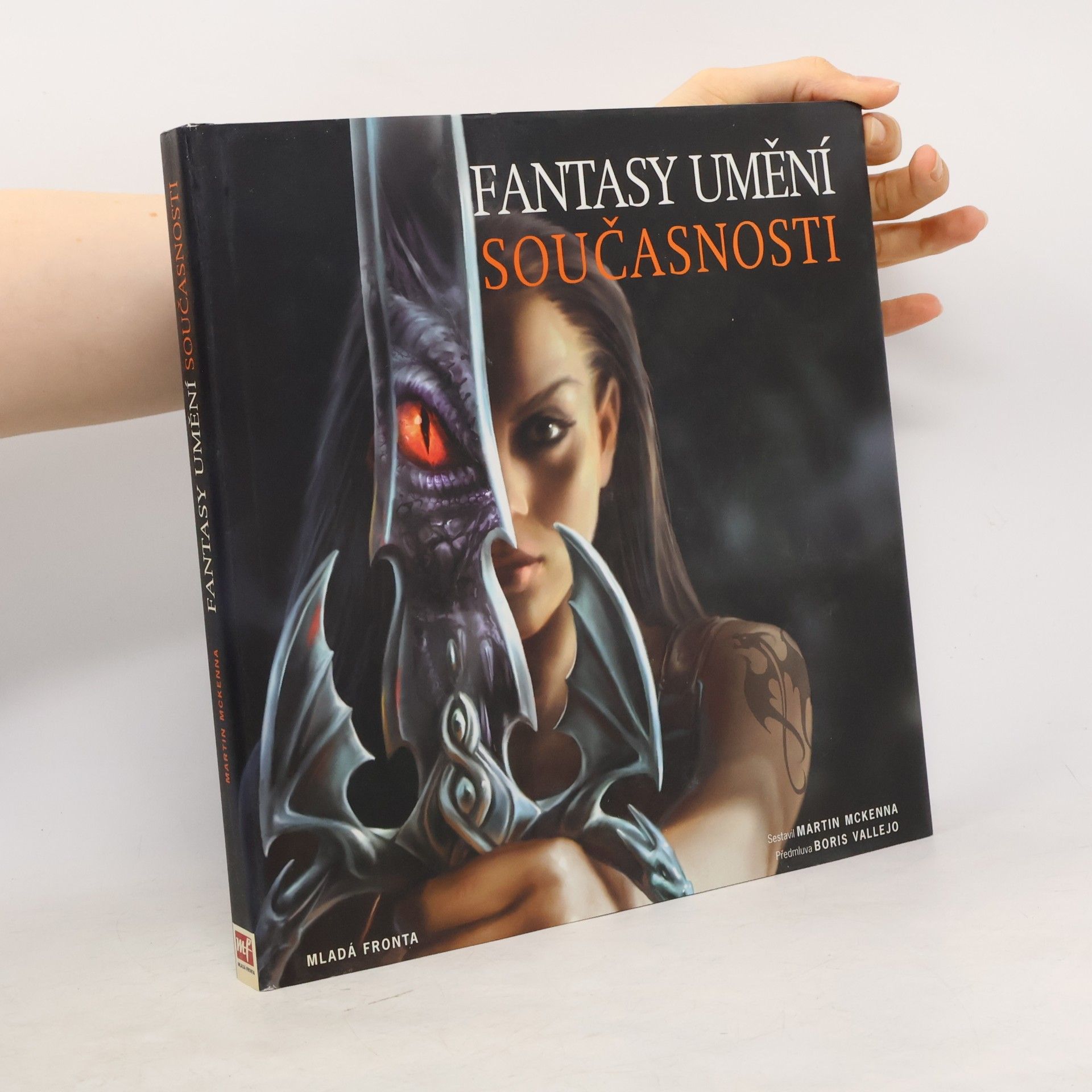 Martin McKenna Fantasy umění současnosti: To nejlepší ze současného fantasy umění