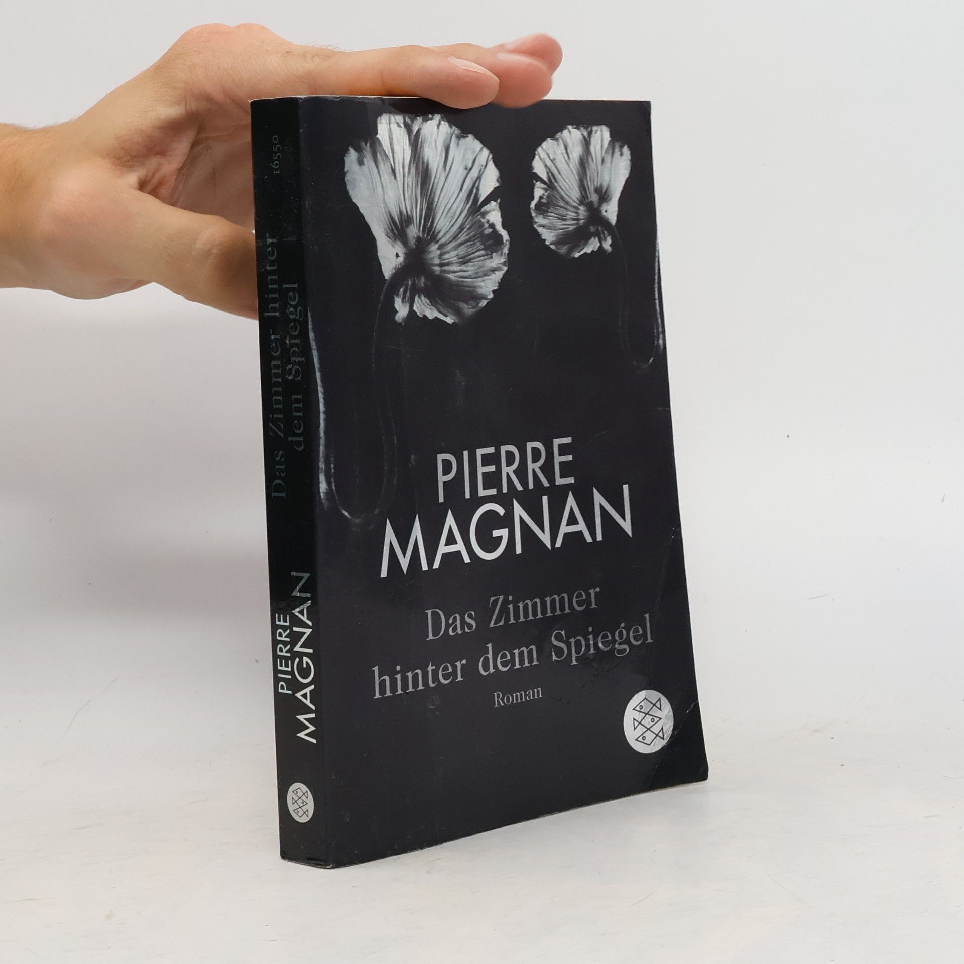 Pierre Magnan Das Zimmer hinter dem Spiegel